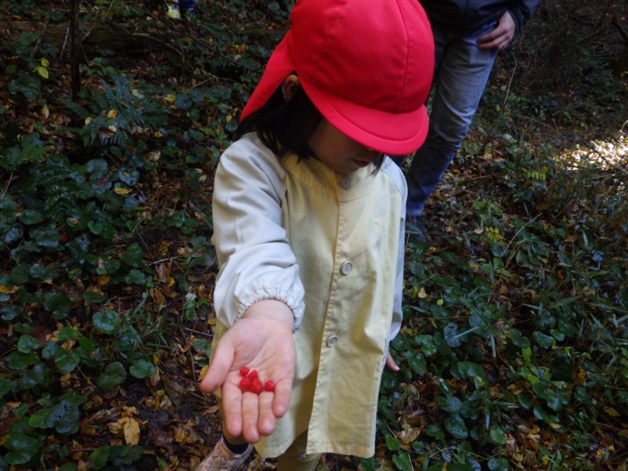 【年中】11/26　忍者の修行場へ！園外保育（1/3）