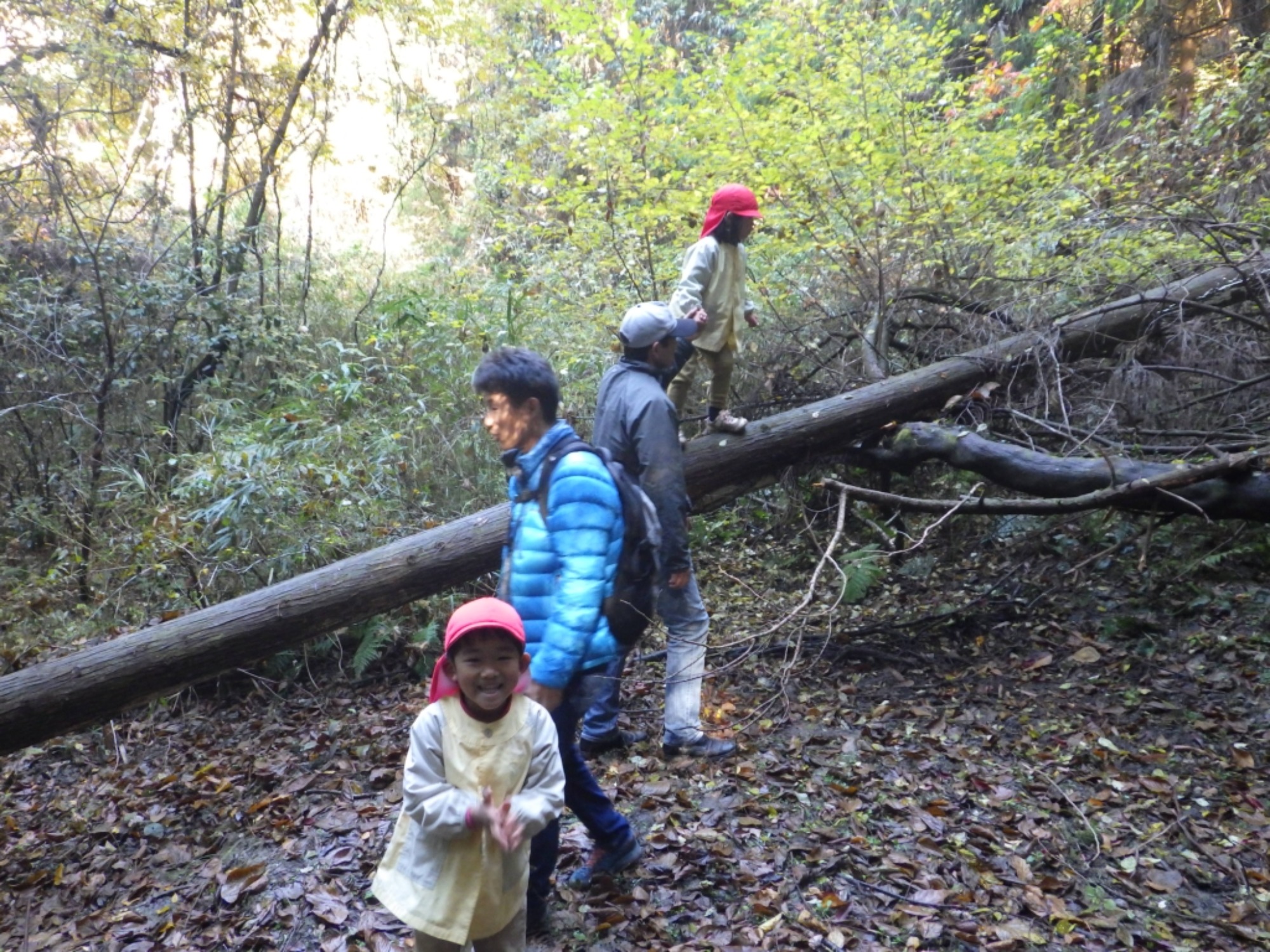 【年中】11/26　忍者の修行場へ！園外保育（1/3）