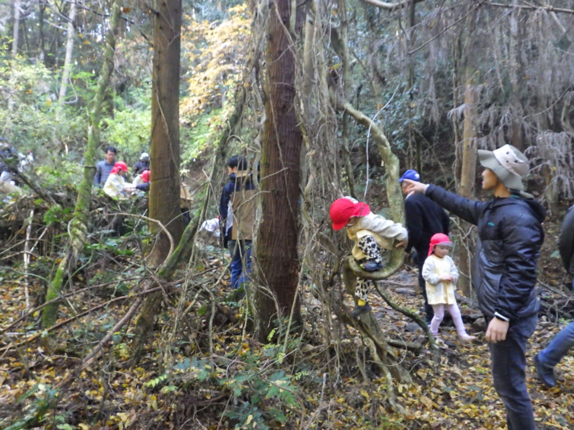 【年中】11/26　忍者の修行場へ！園外保育（1/3）