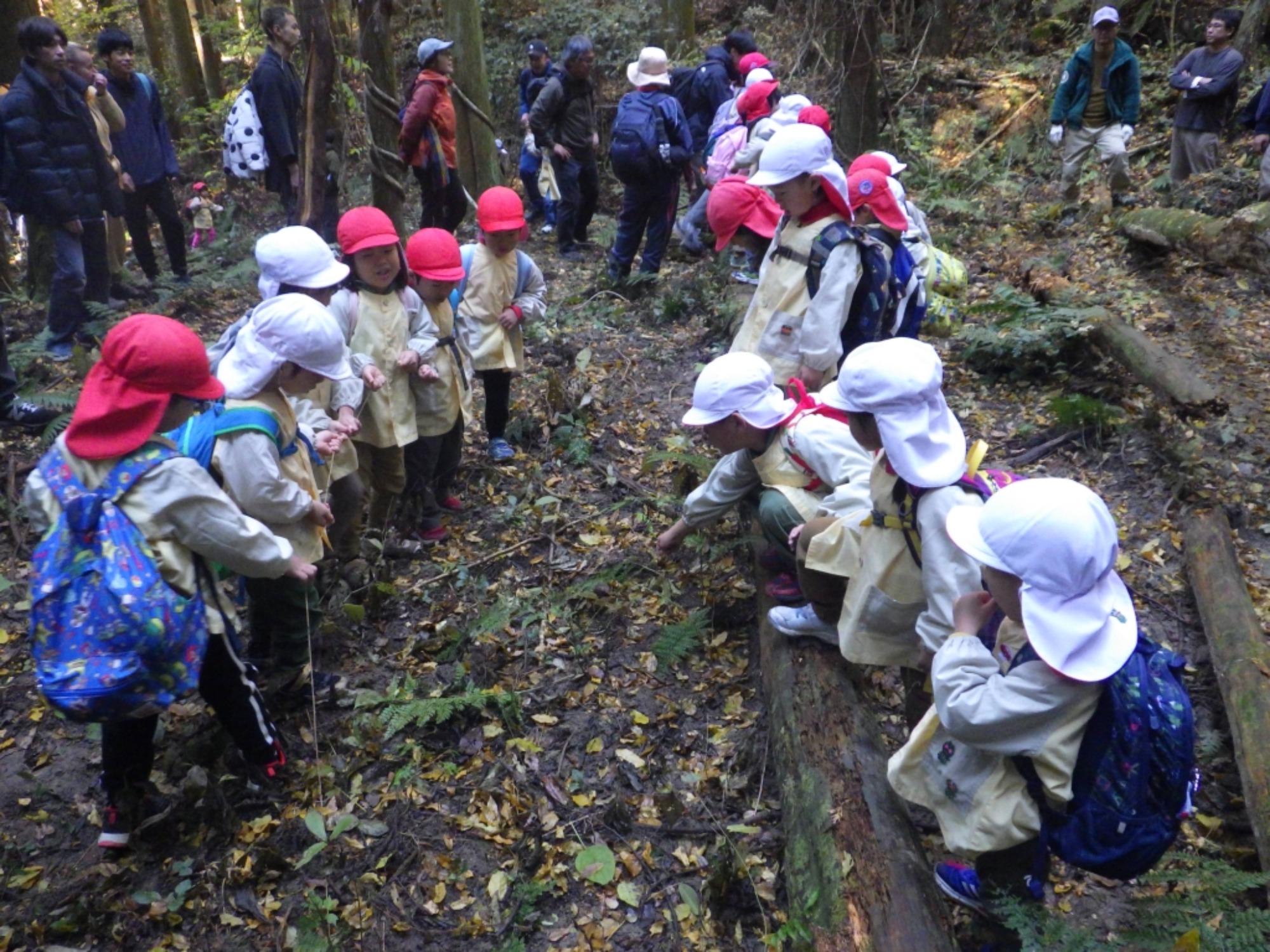 【年中】11/26　忍者の修行場へ！園外保育（1/3）