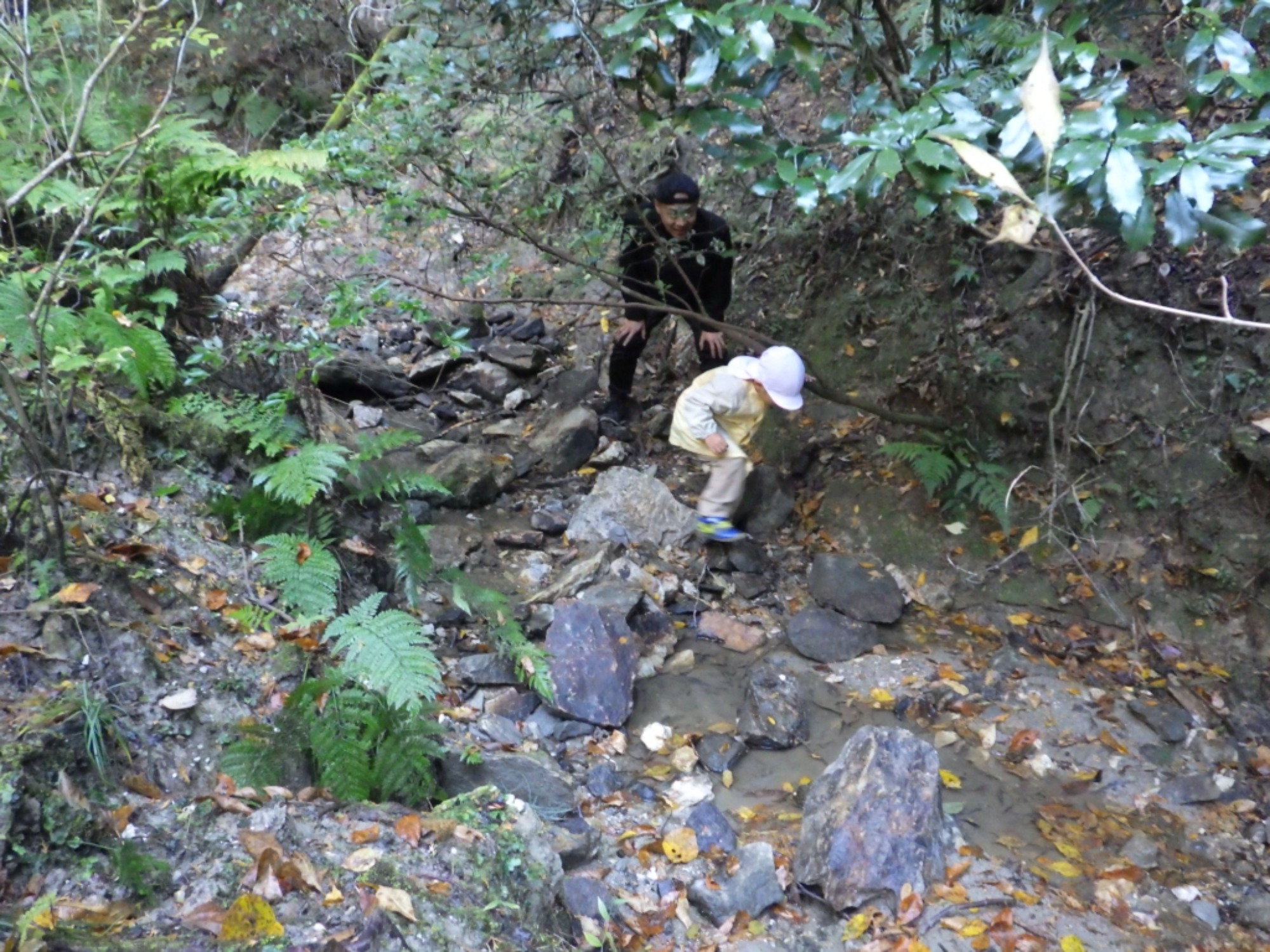 【年中】11/26　忍者の修行場へ！園外保育（1/3）