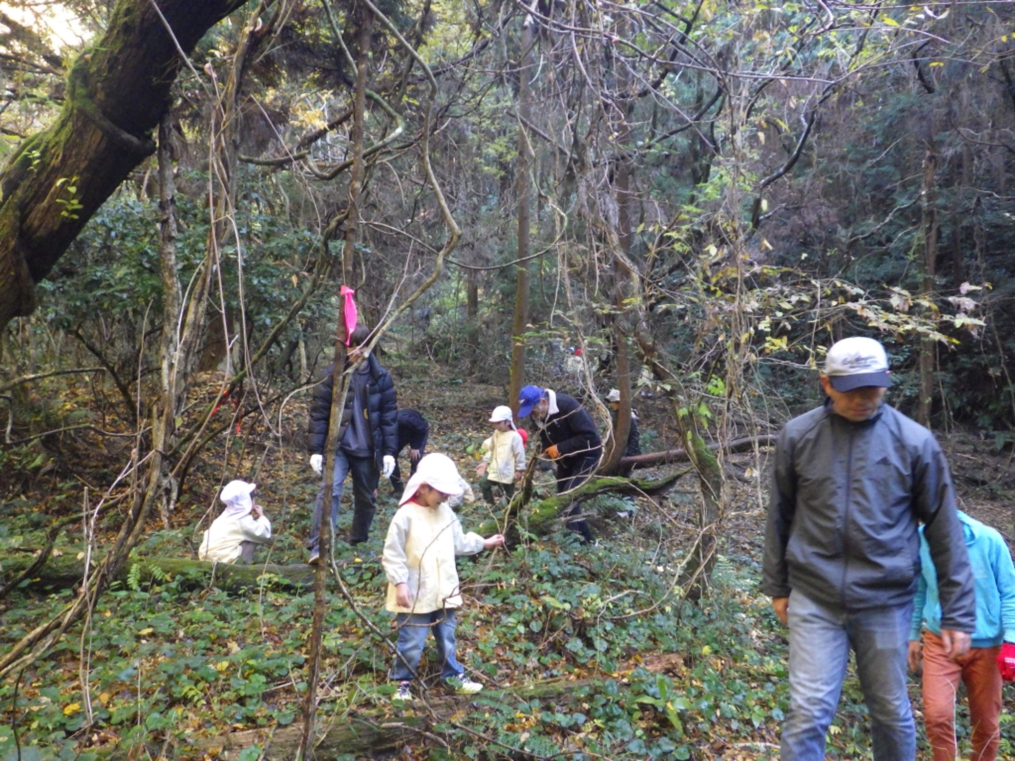 【年中】11/26　忍者の修行場へ！園外保育（1/3）