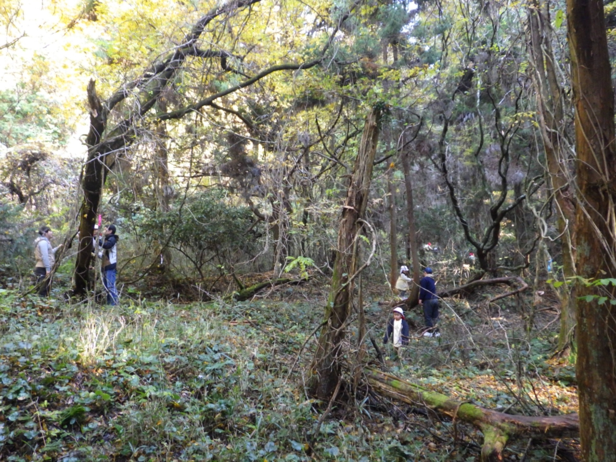 【年中】11/26　忍者の修行場へ！園外保育（2/3）