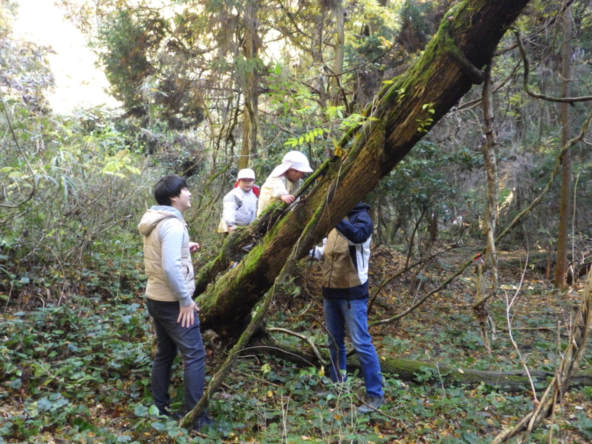 【年中】11/26　忍者の修行場へ！園外保育（2/3）