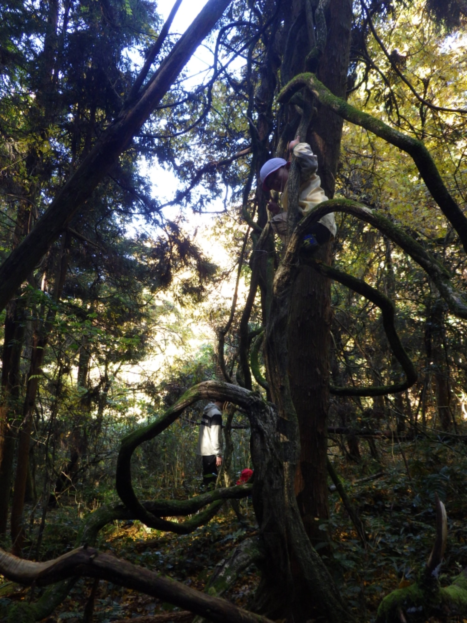 【年中】11/26　忍者の修行場へ！園外保育（2/3）