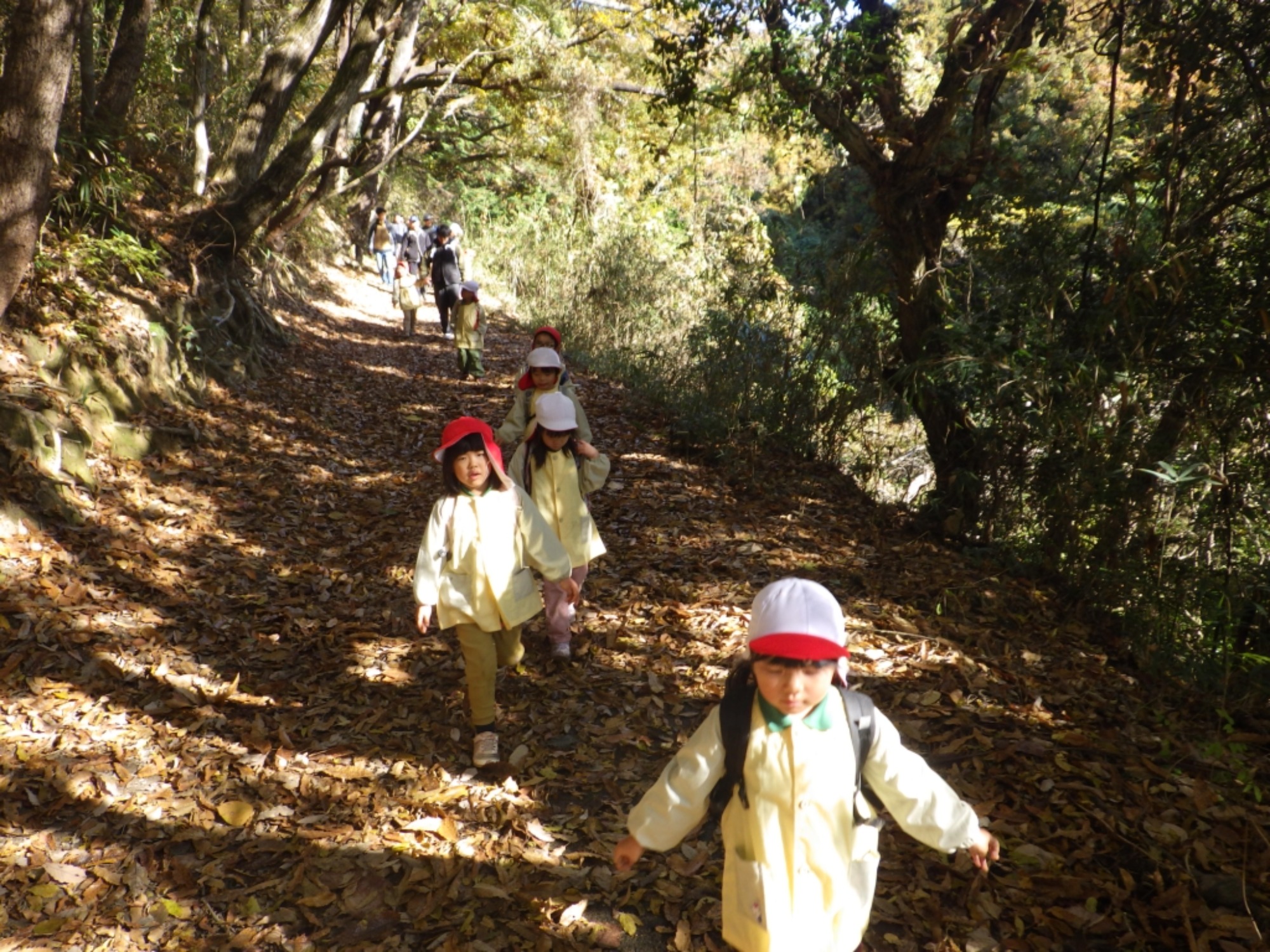 【年中】11/26　忍者の修行場へ！園外保育（3/3）