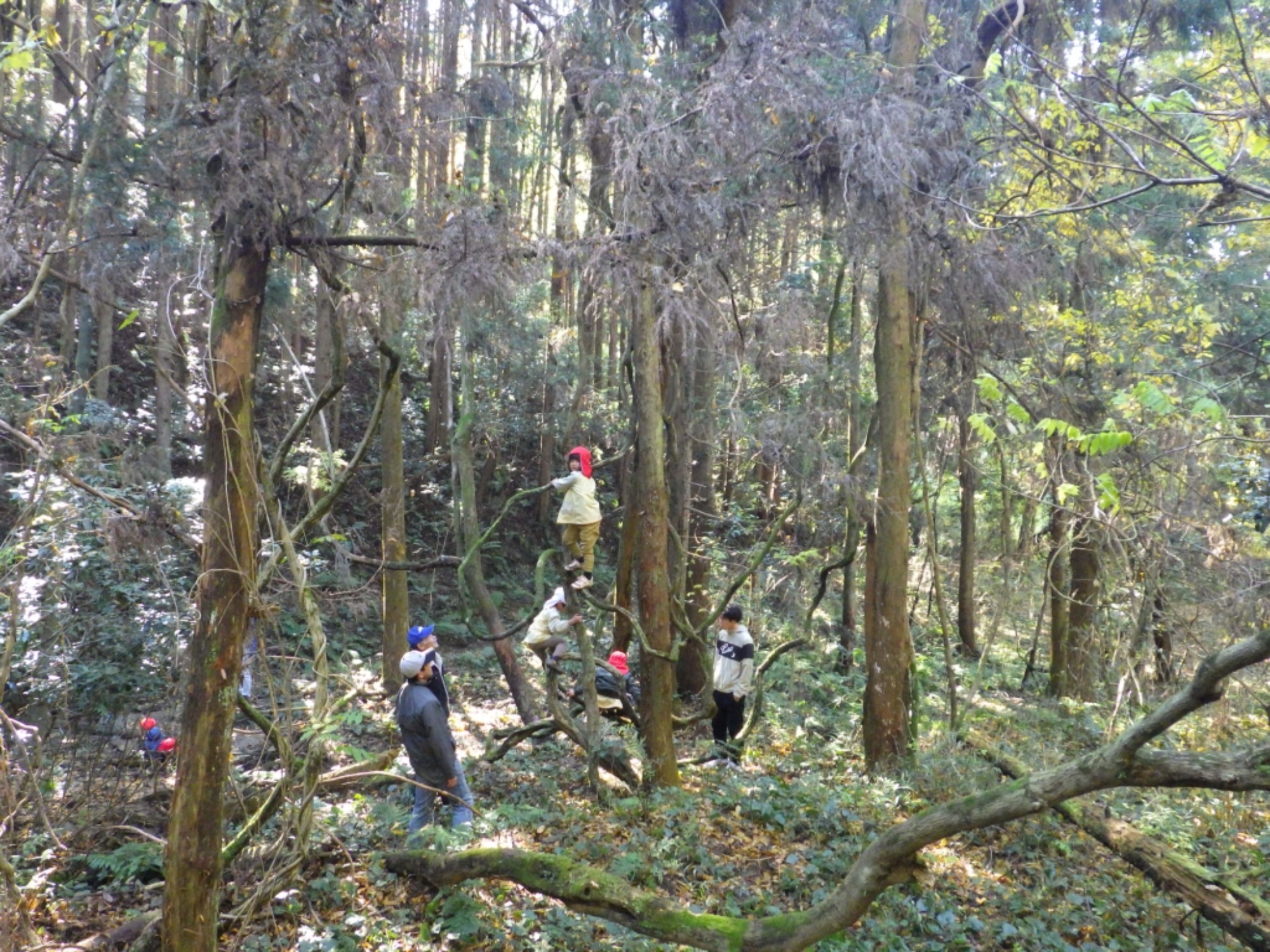 【年中】11/26　忍者の修行場へ！園外保育（3/3）