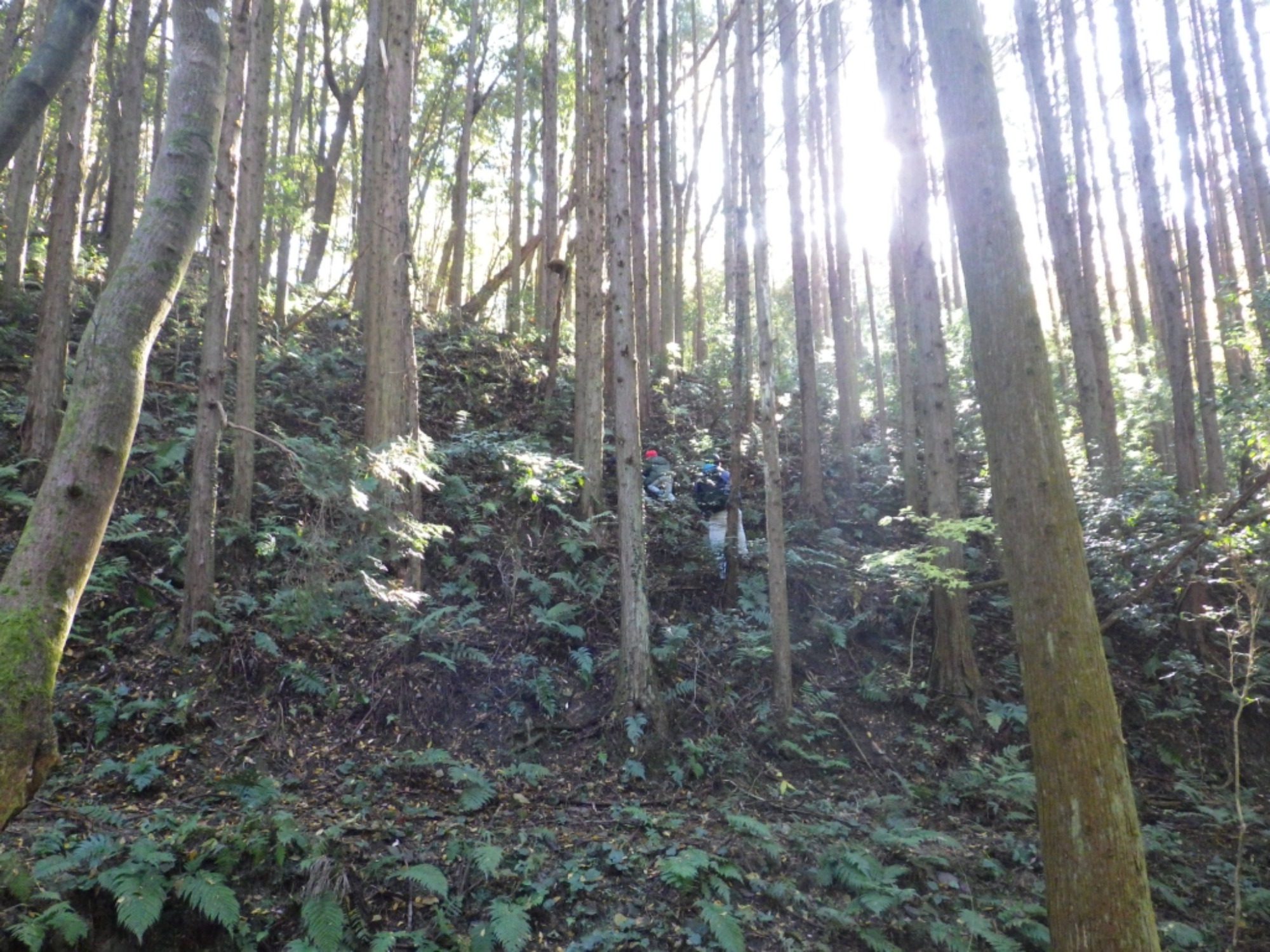 【年中】11/26　忍者の修行場へ！園外保育（3/3）