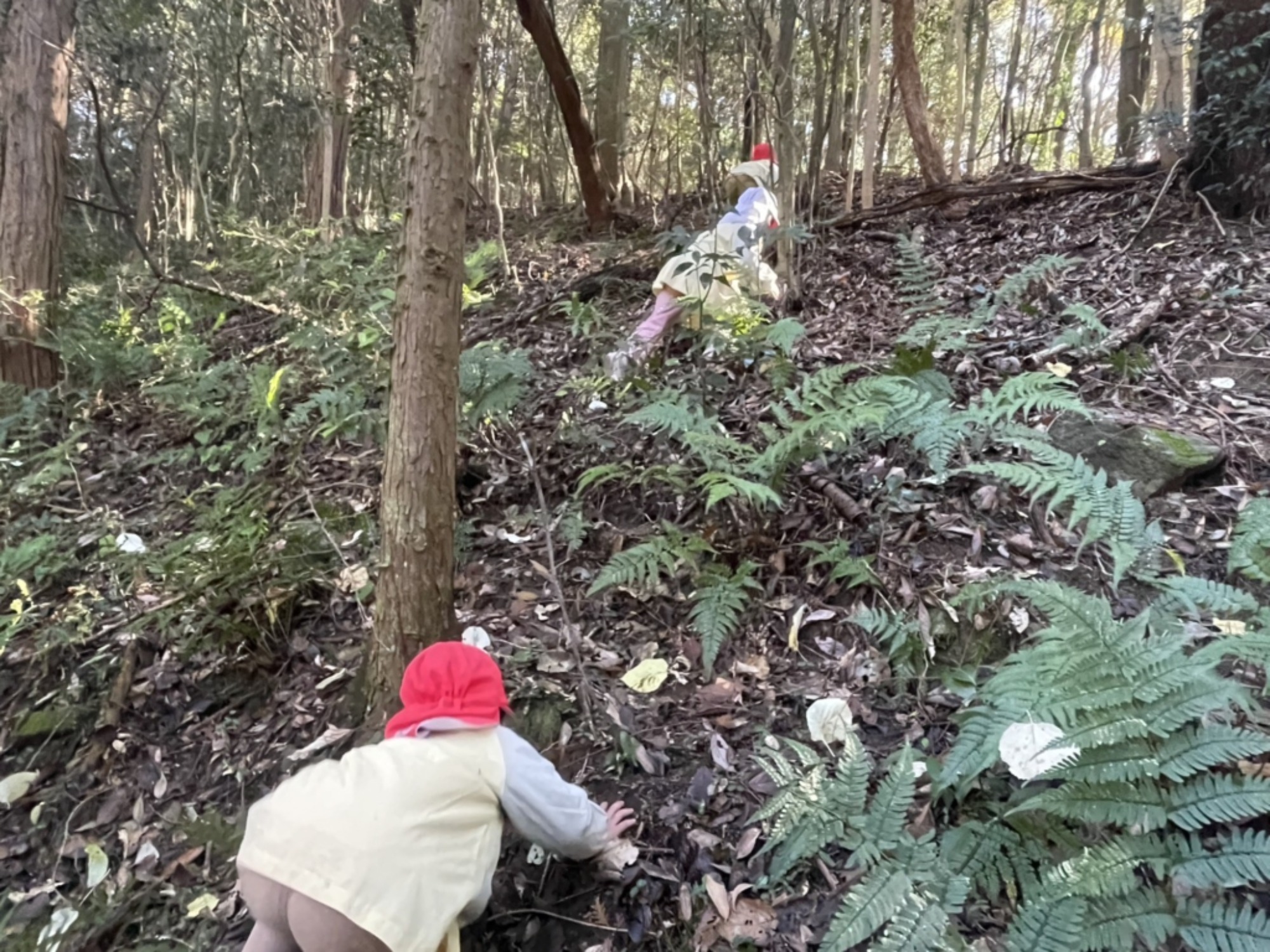 【年中】11/26　忍者の修行場へ！園外保育（3/3）