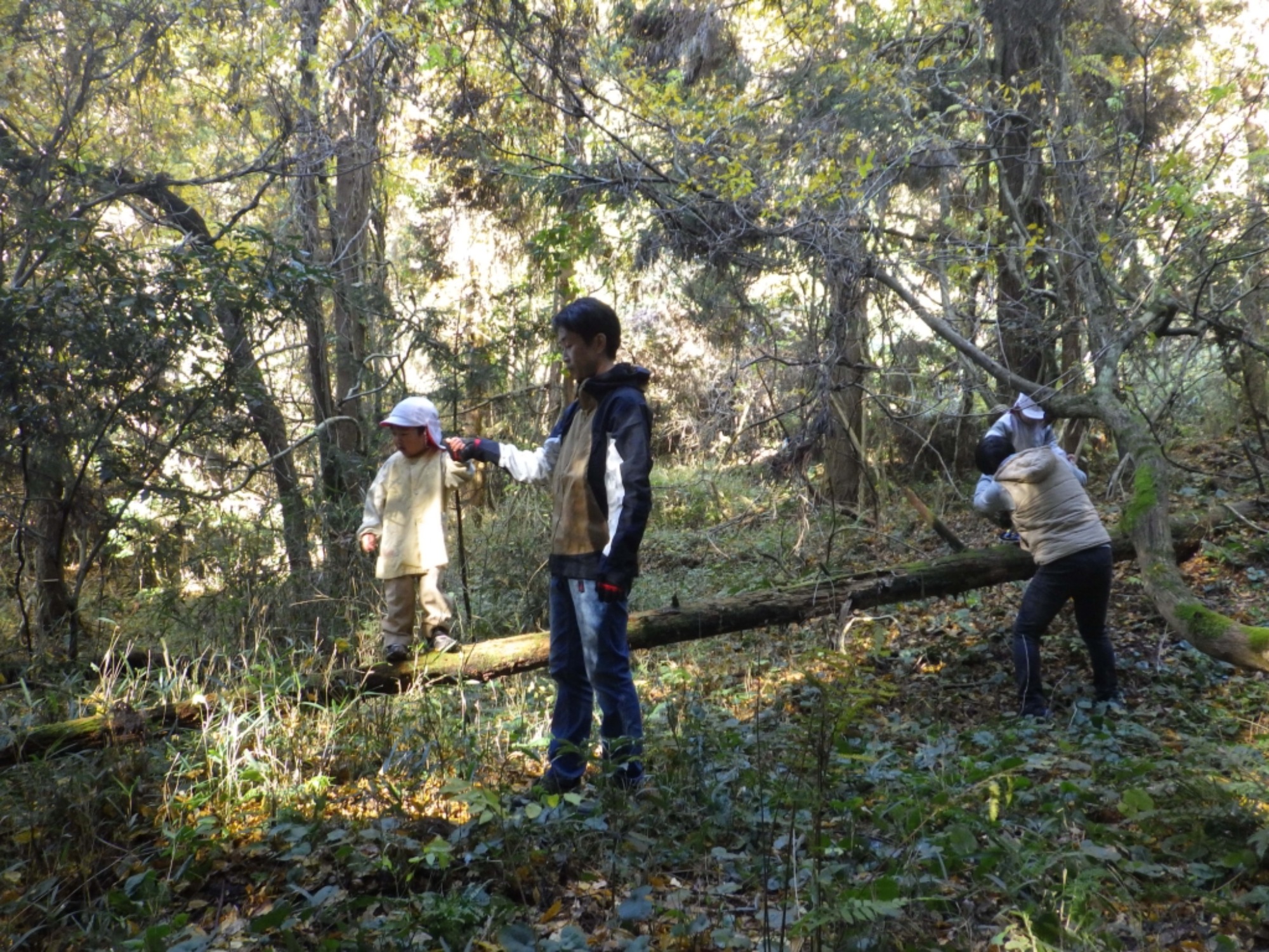 【年中】11/26　忍者の修行場へ！園外保育（3/3）