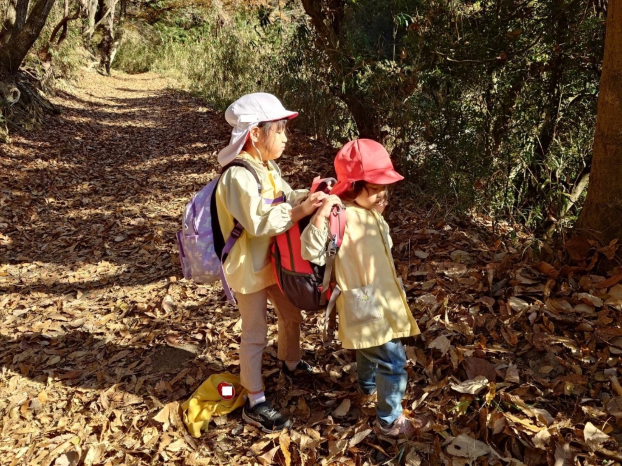 【年少・年長】12/9　合同園外保育（1/3）