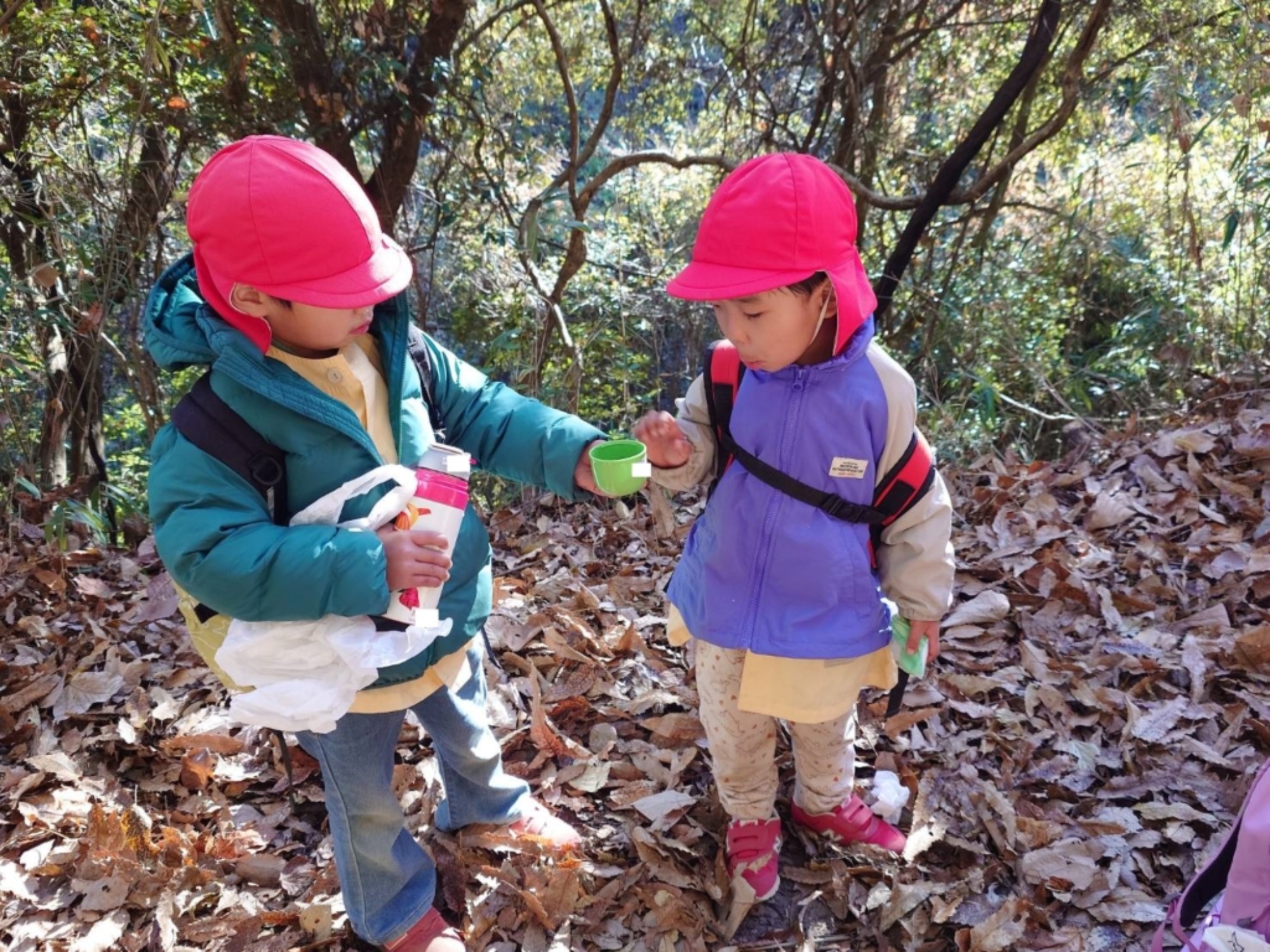 【年少・年長】12/9　合同園外保育（1/3）