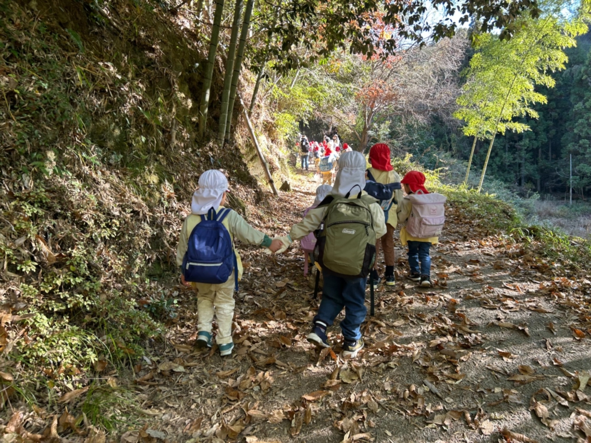 【年少・年長】12/9　合同園外保育（1/3）