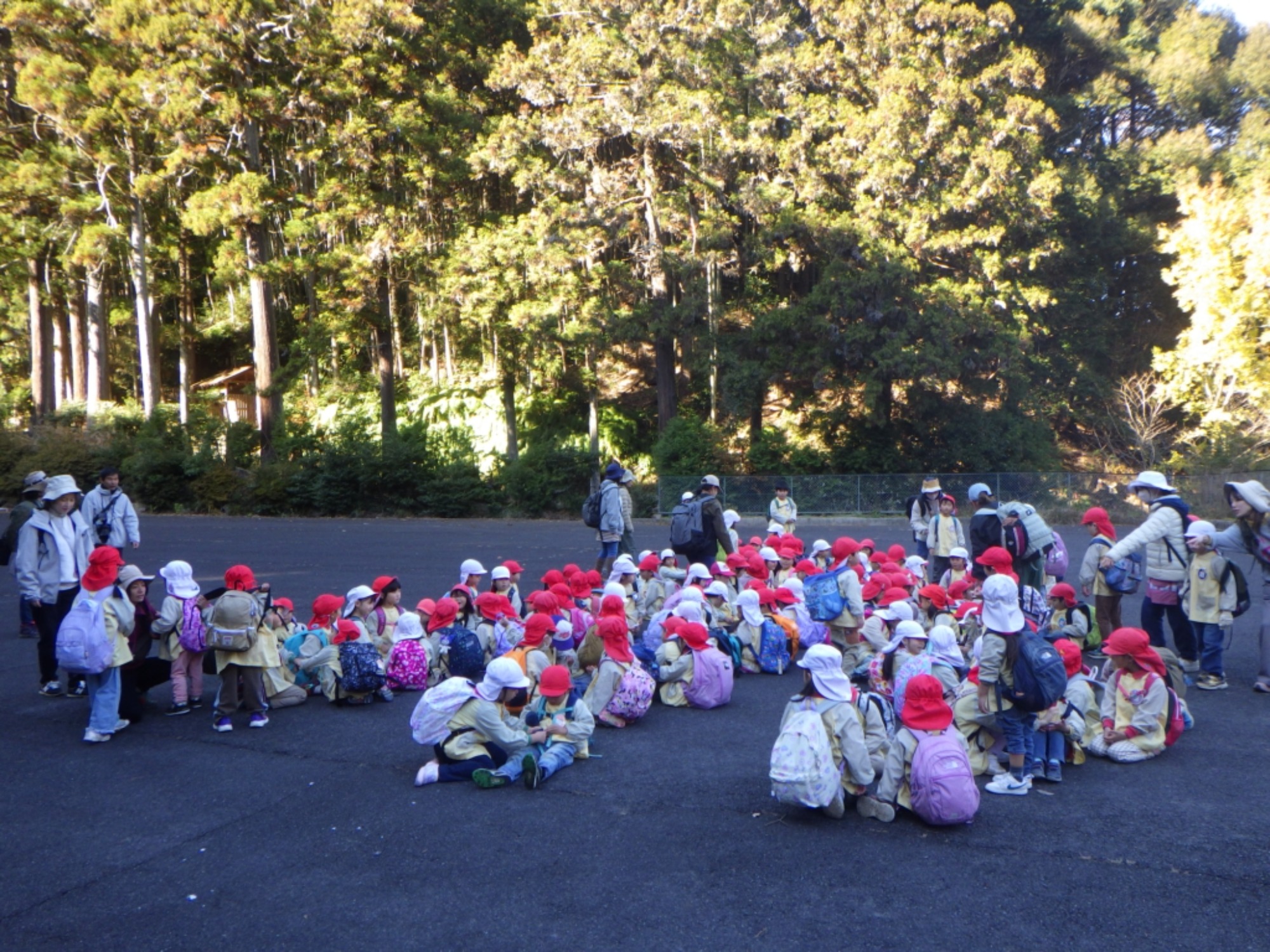 【年少・年長】12/9　合同園外保育（1/3）