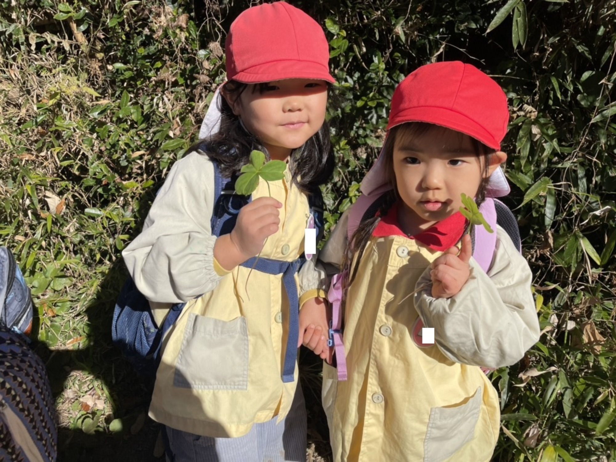 【年少・年長】12/9　合同園外保育（1/3）