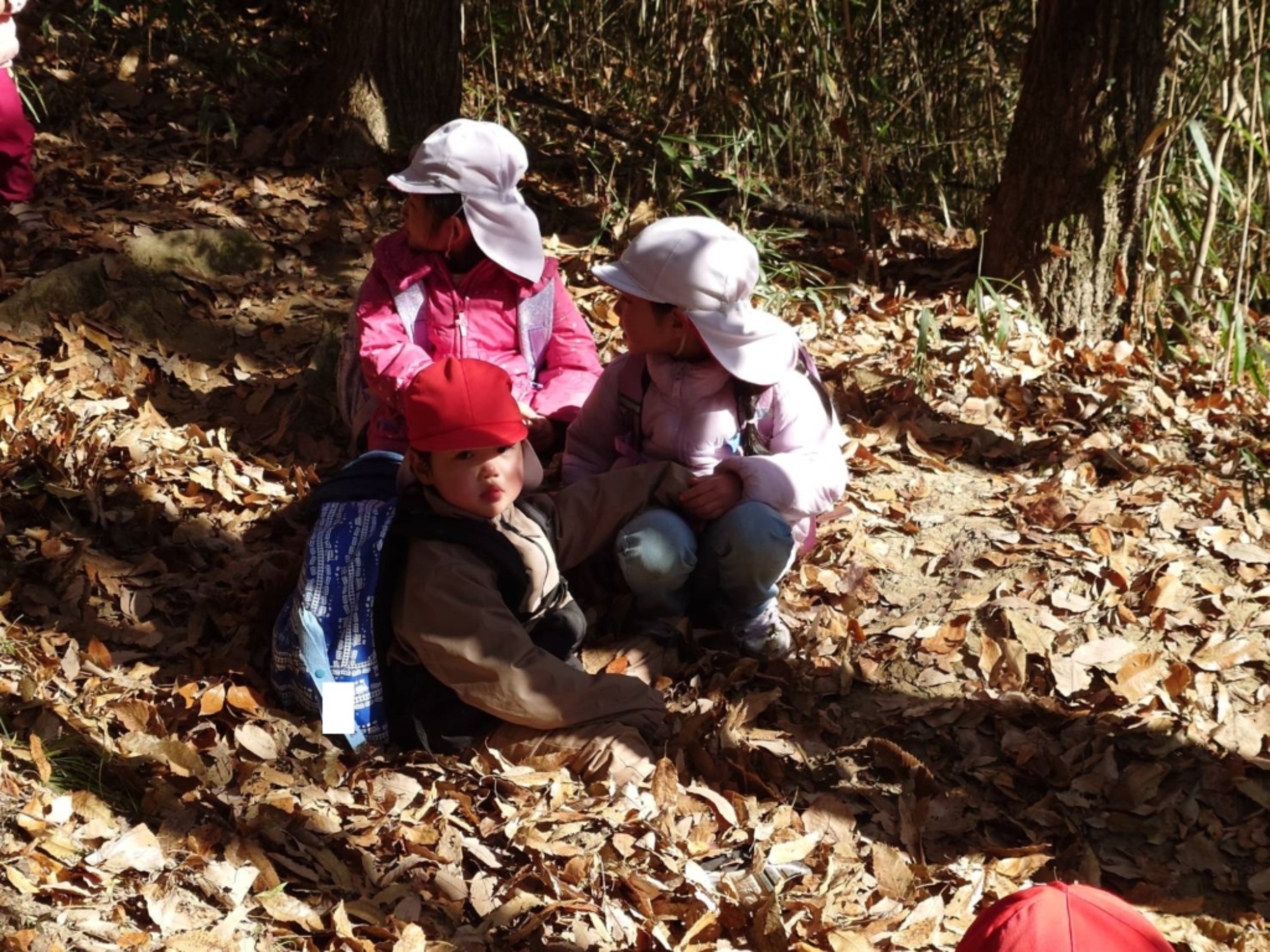 【年少・年長】12/9　合同園外保育（1/3）