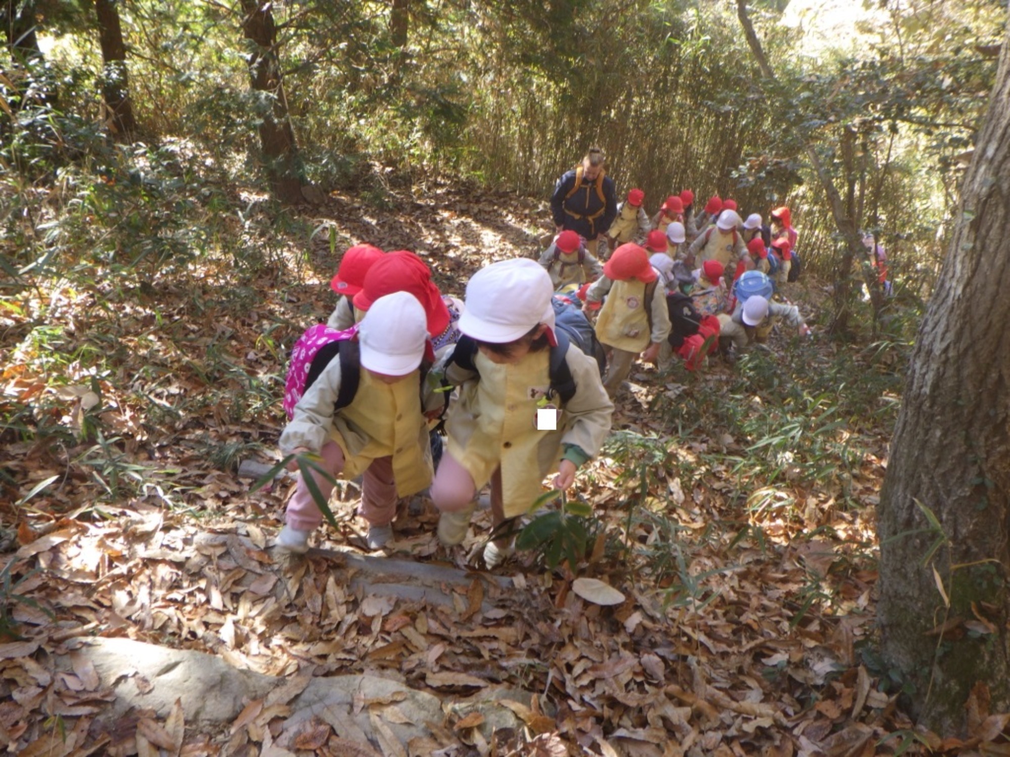 【年少・年長】12/9　合同園外保育（2/3）