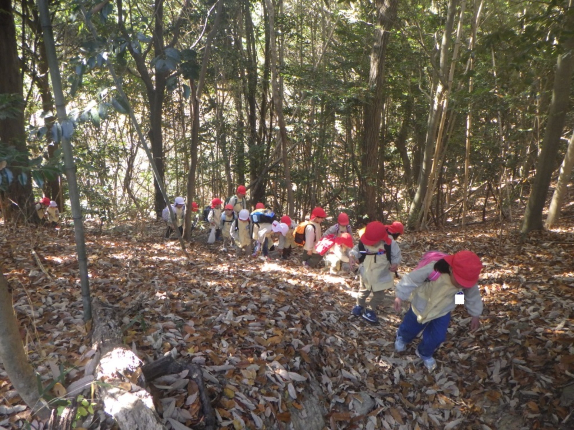 【年少・年長】12/9　合同園外保育（2/3）