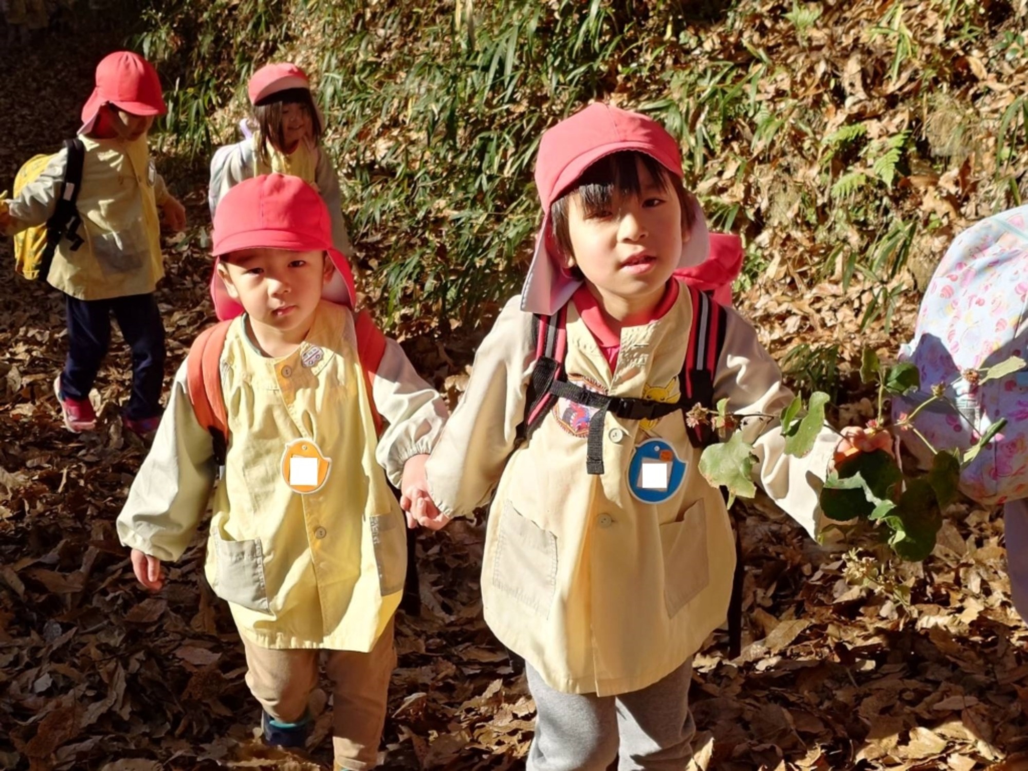 【年少・年長】12/9　合同園外保育（2/3）