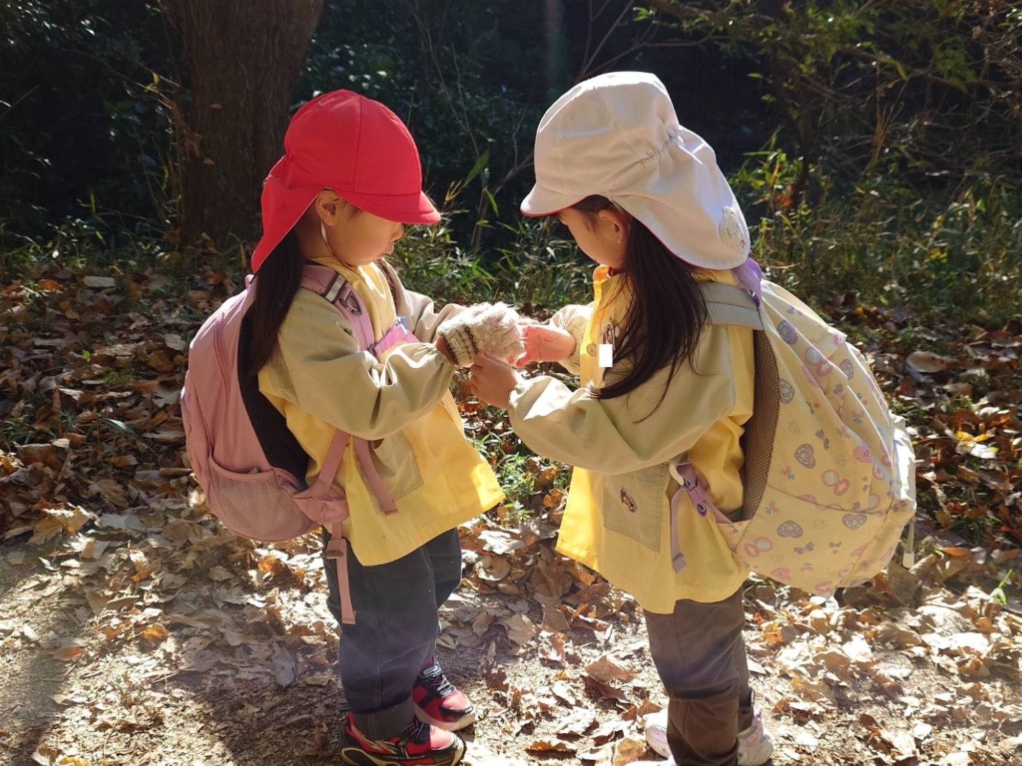 【年少・年長】12/9　合同園外保育（2/3）