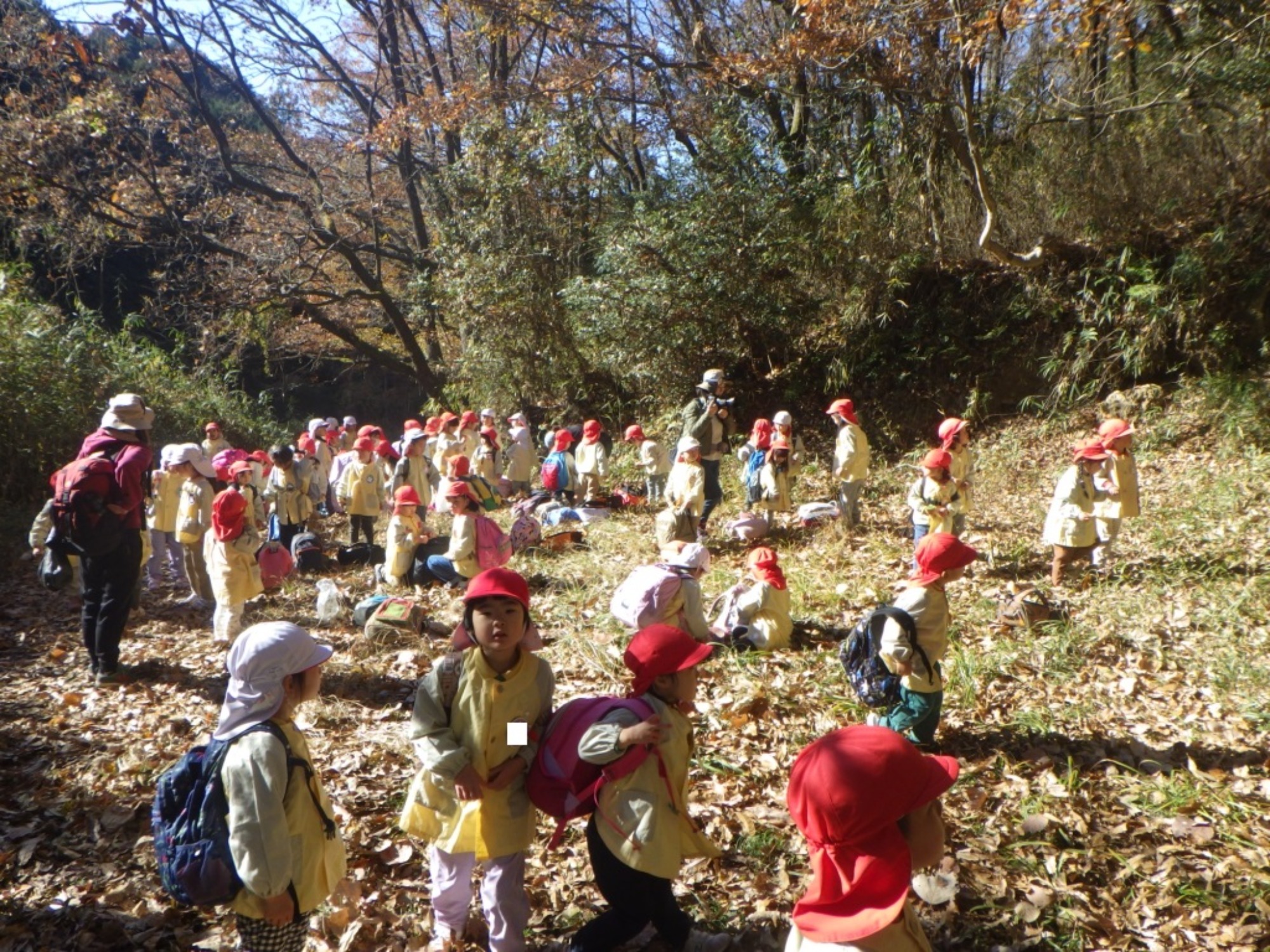 【年少・年長】12/9　合同園外保育（2/3）