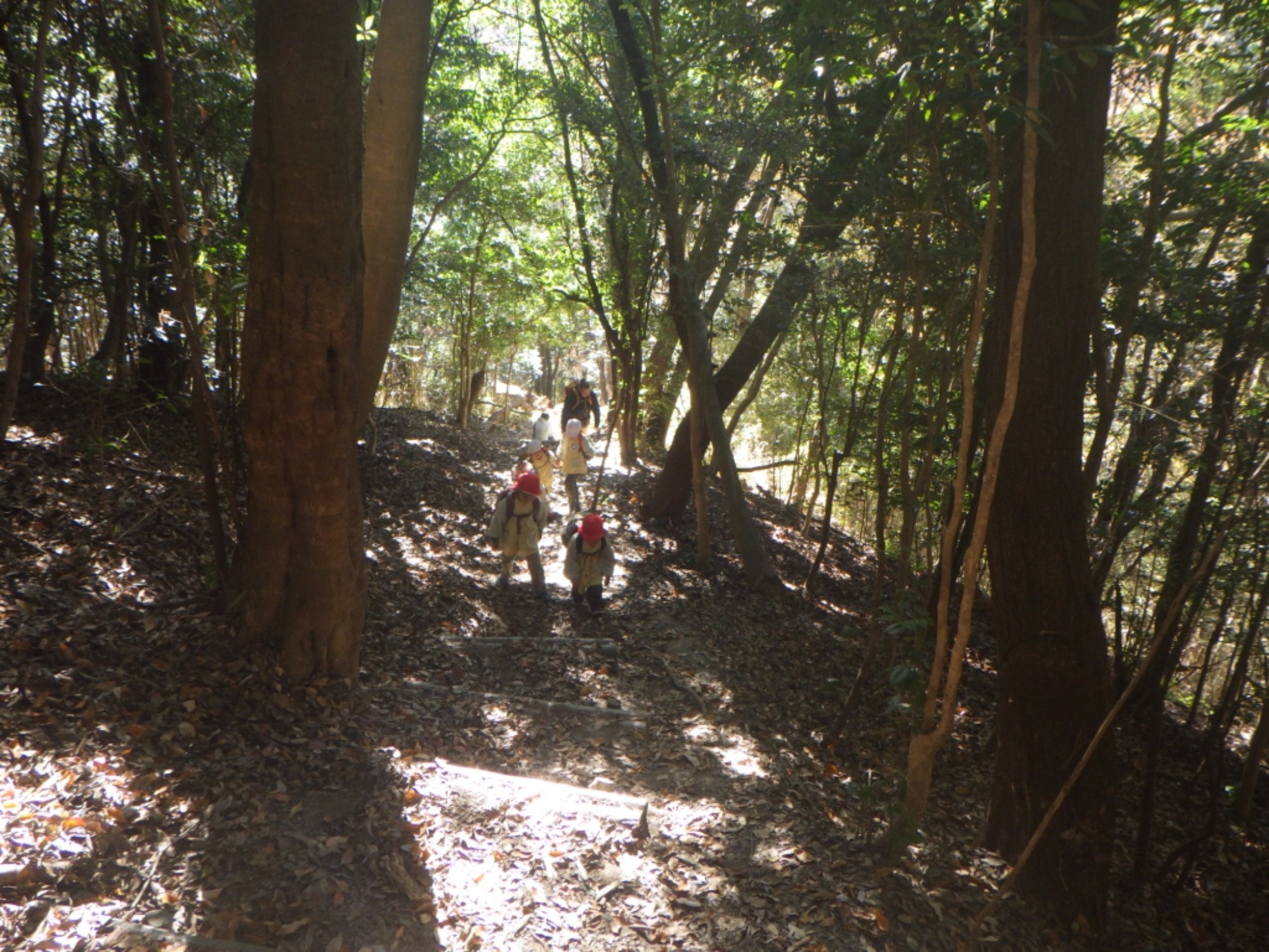 【年少・年長】12/9　合同園外保育（2/3）