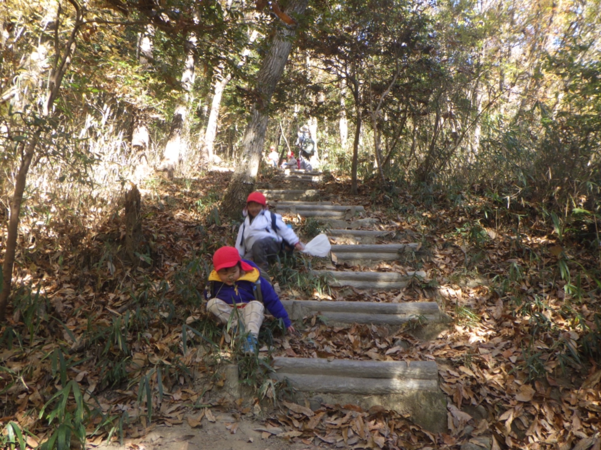 【年少・年長】12/9　合同園外保育（3/3）