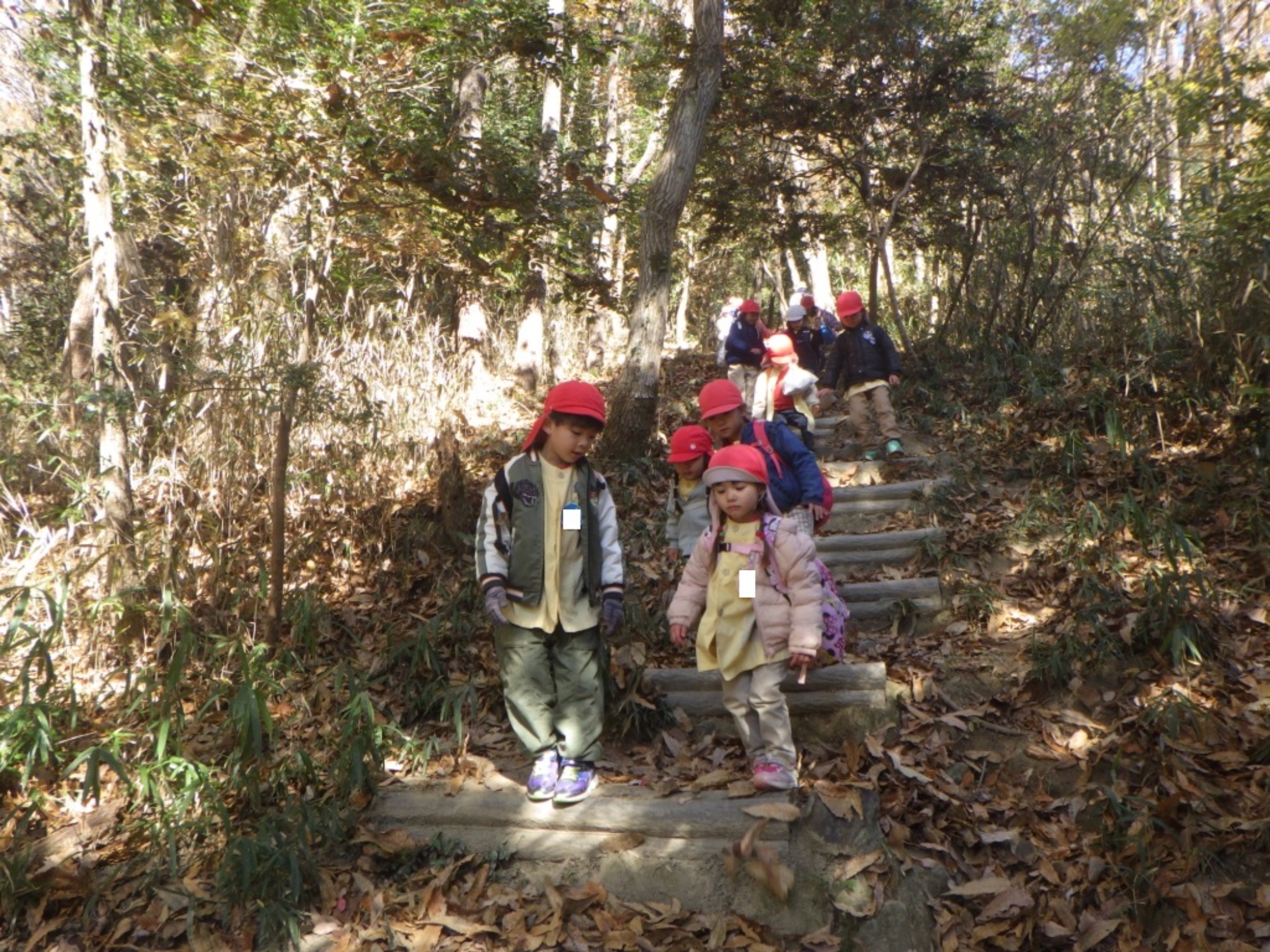 【年少・年長】12/9　合同園外保育（3/3）