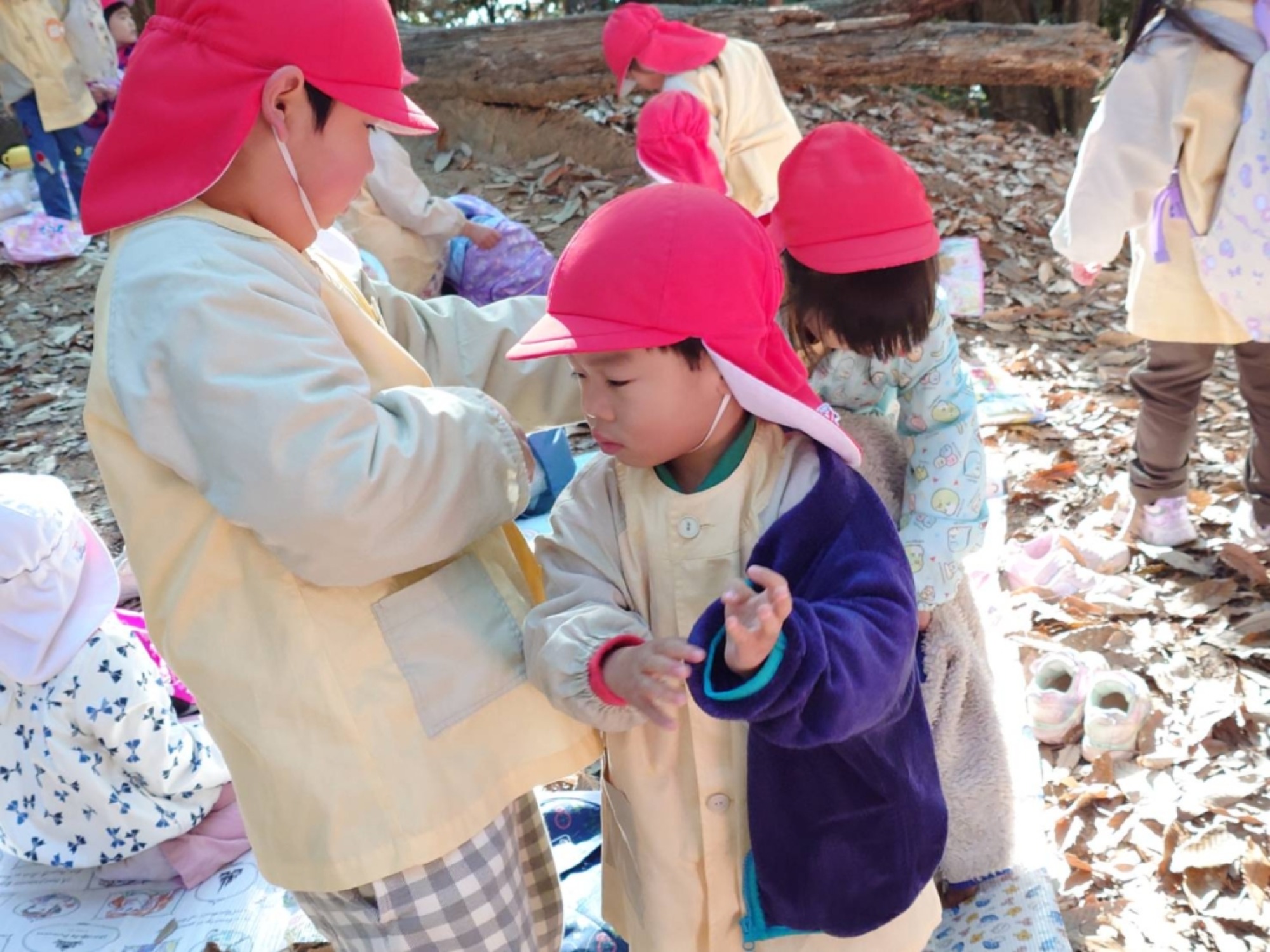 【年少・年長】12/9　合同園外保育（3/3）