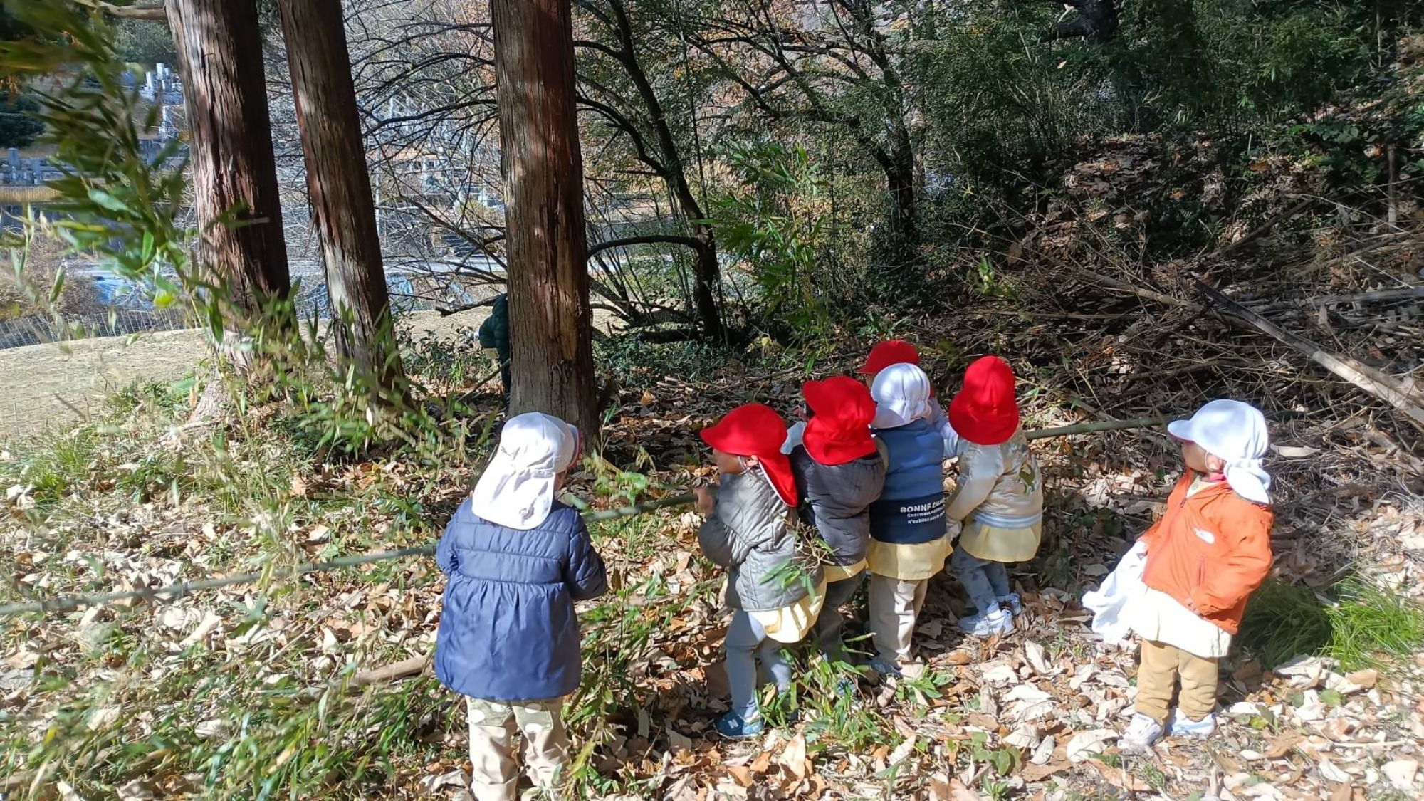 【くも】12/11　村積山　園外保育