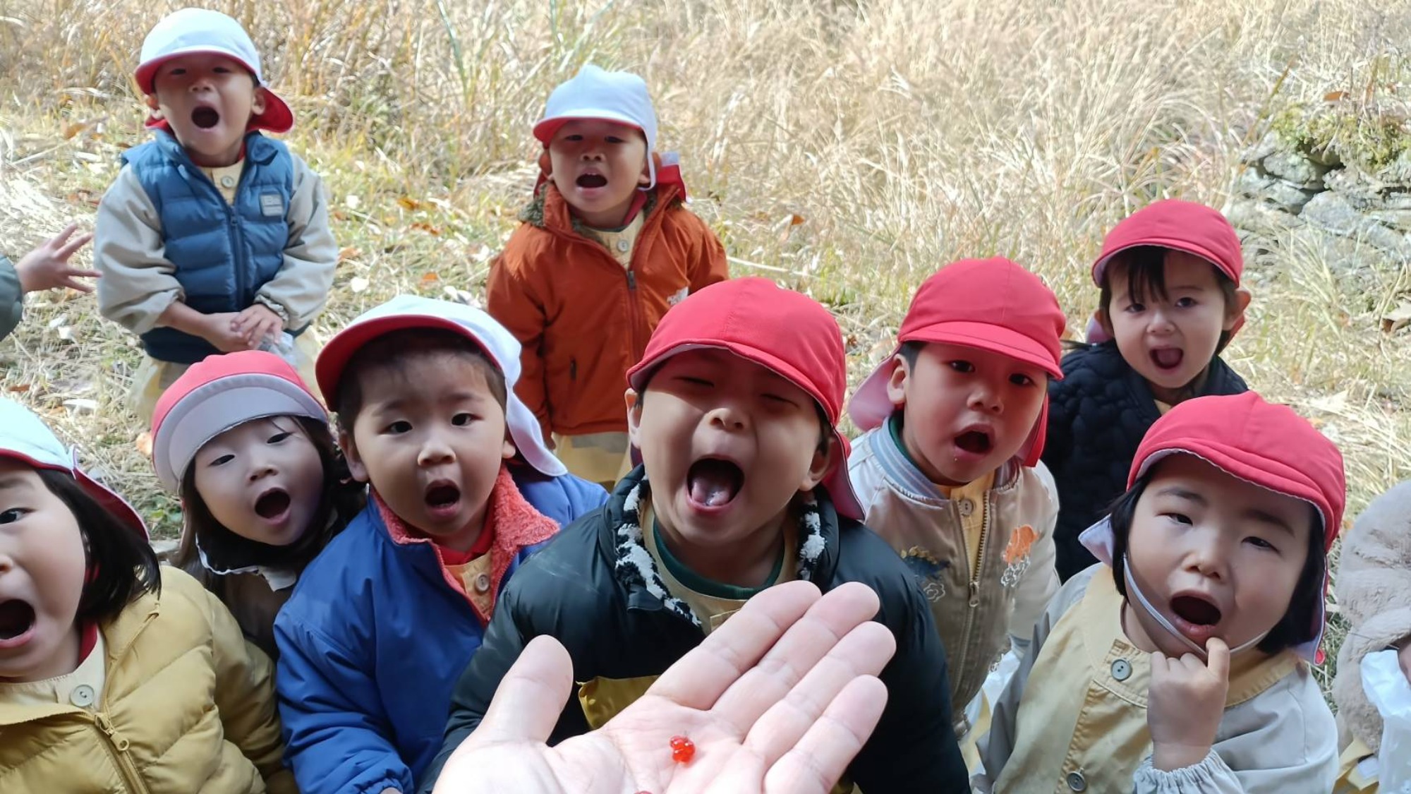 【くも】12/11　村積山　園外保育