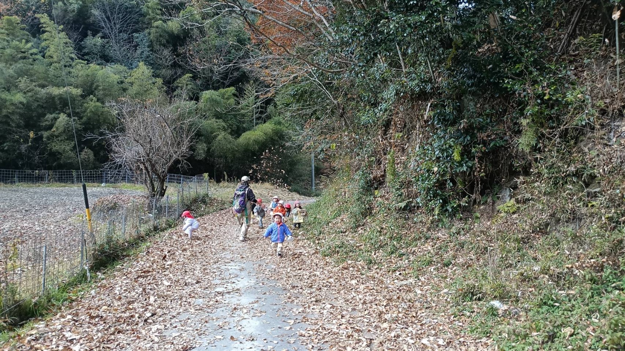 【くも】12/11　村積山　園外保育