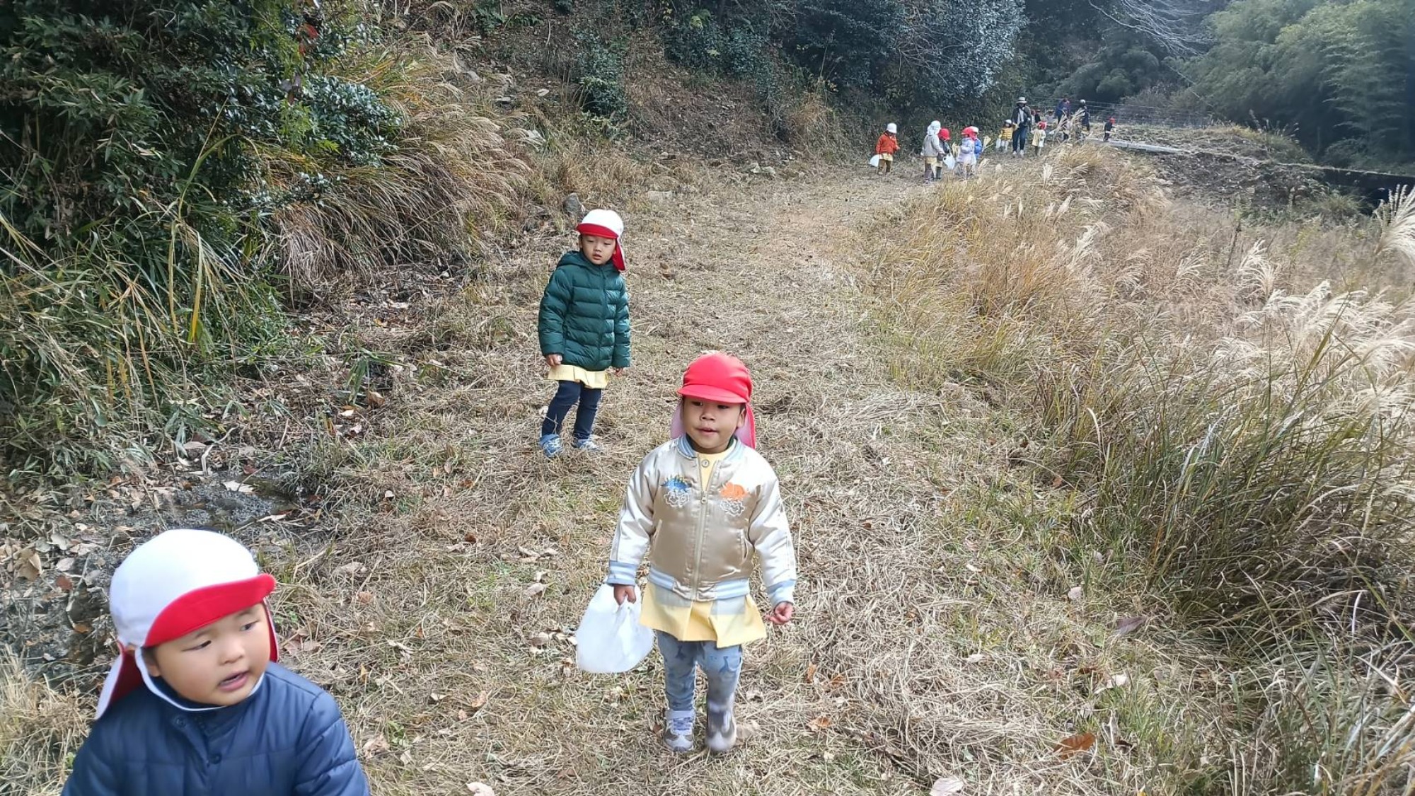【くも】12/11　村積山　園外保育