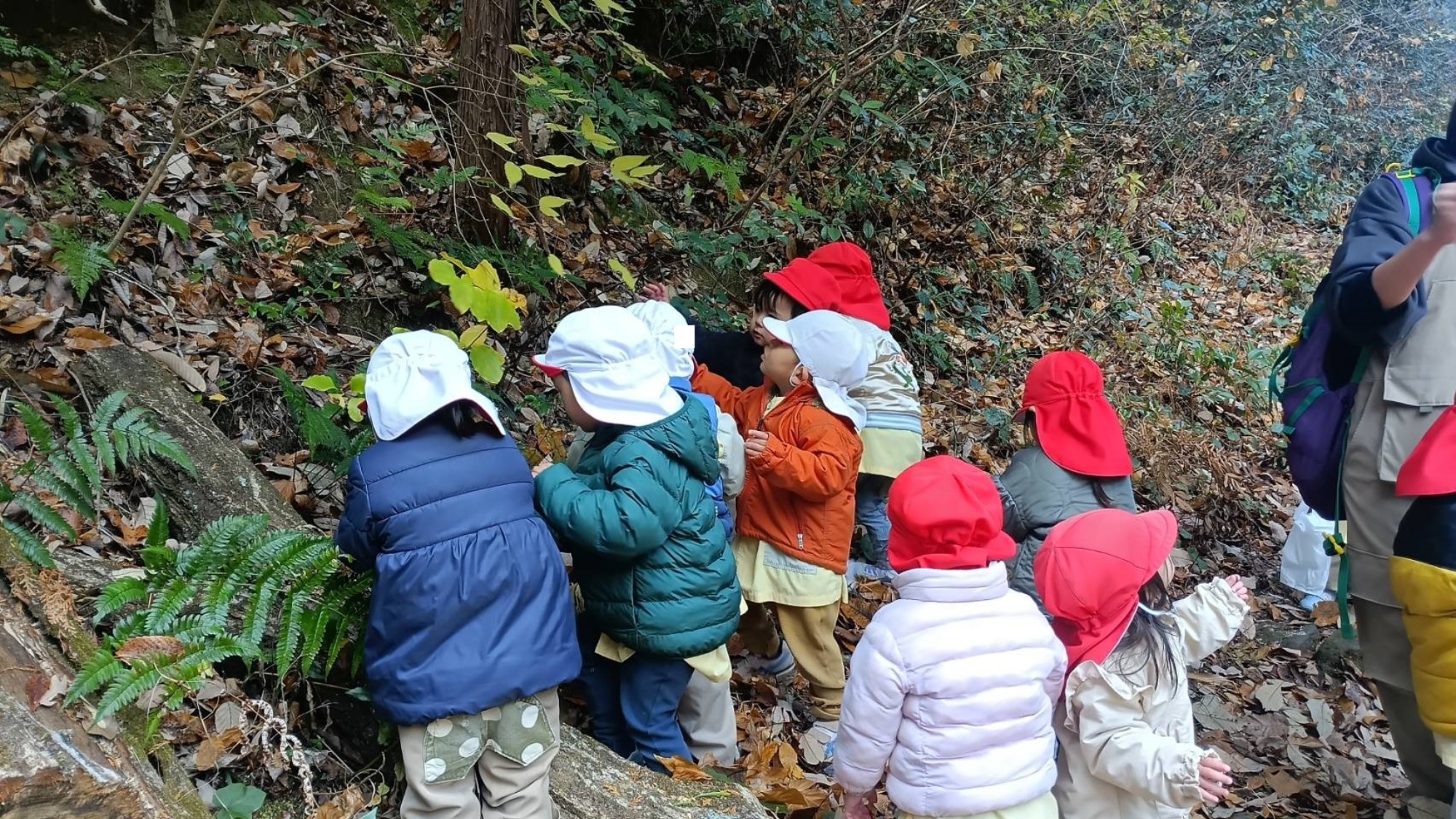 【くも】12/11　村積山　園外保育