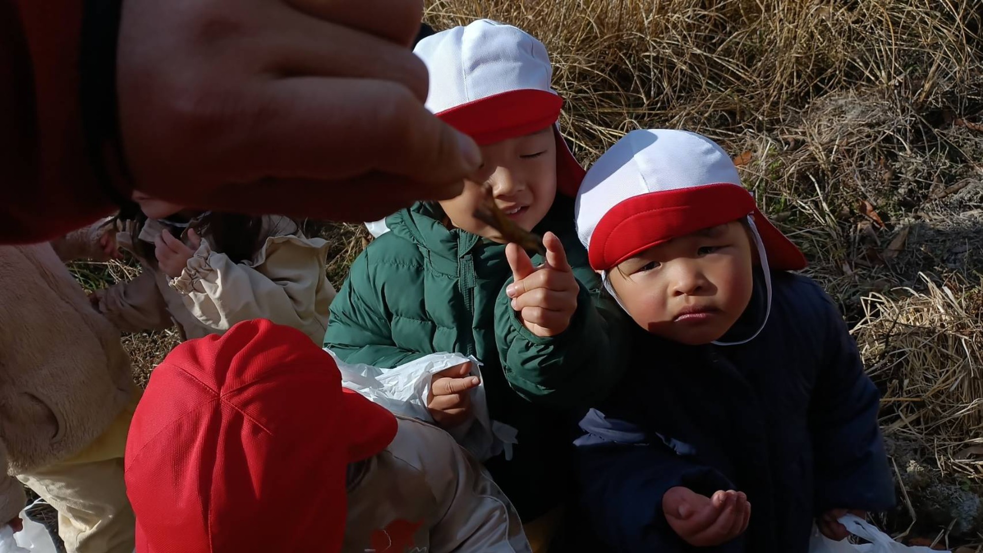 【くも】12/11　村積山　園外保育