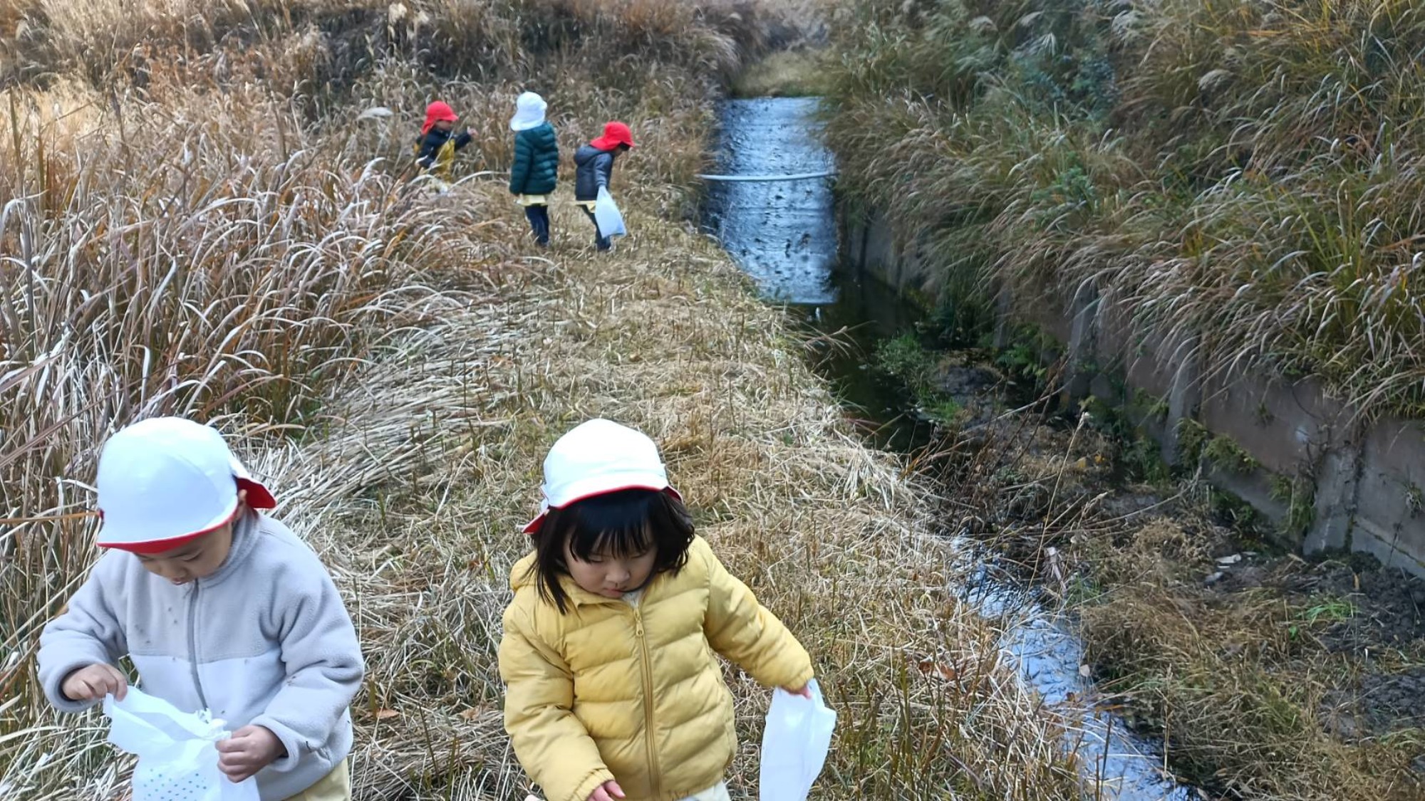 【くも】12/11　村積山　園外保育