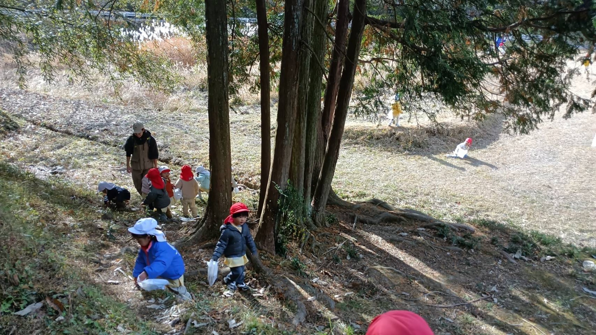 【くも】12/11　村積山　園外保育