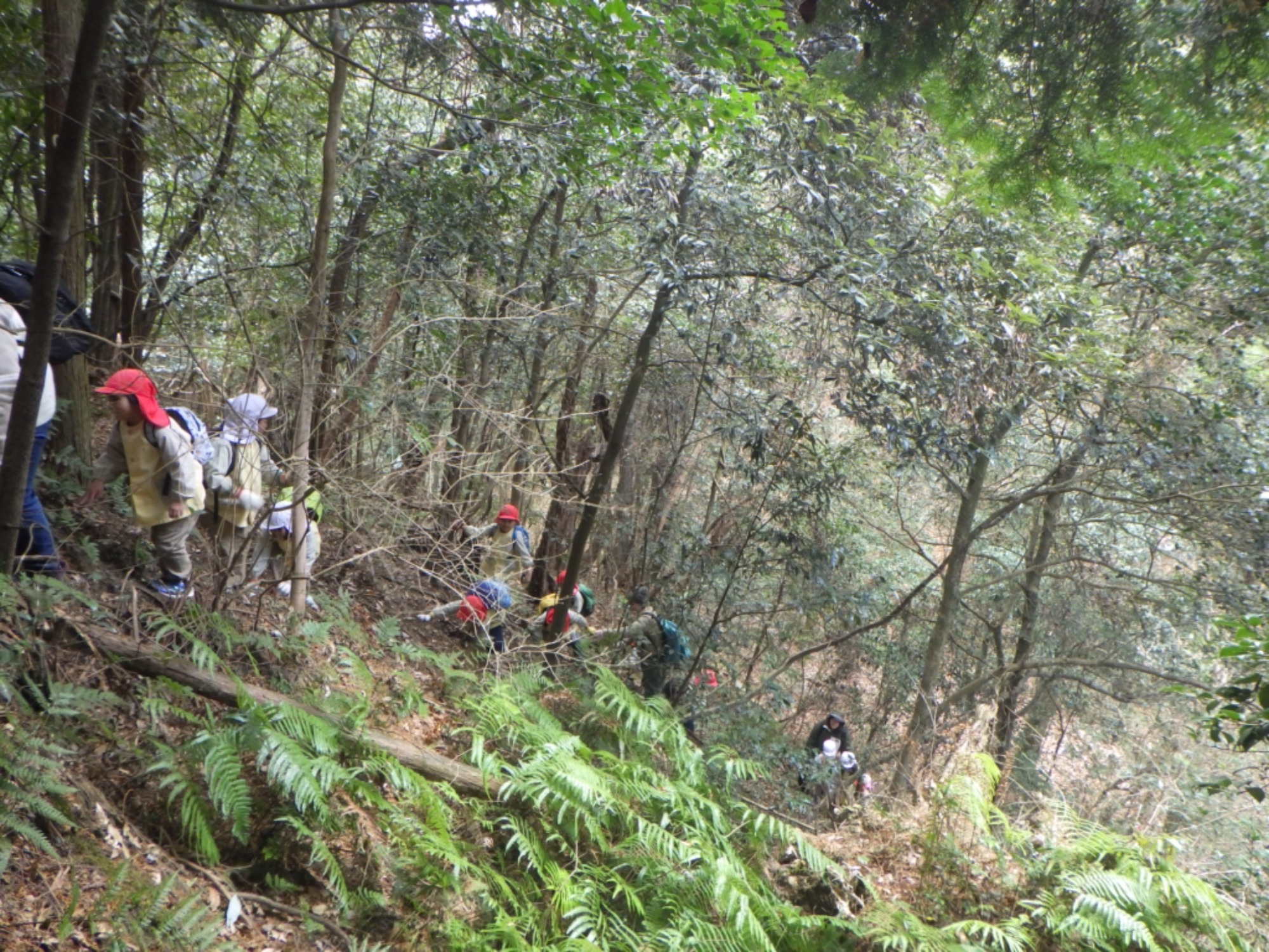 【年長】1/8　村積山　園外保育（1/3）