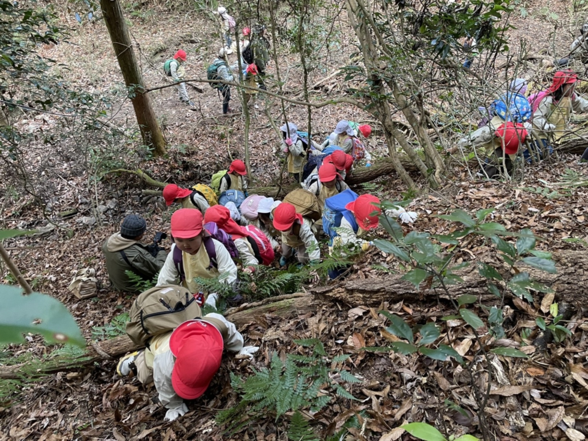 【年長】1/8　村積山　園外保育（1/3）