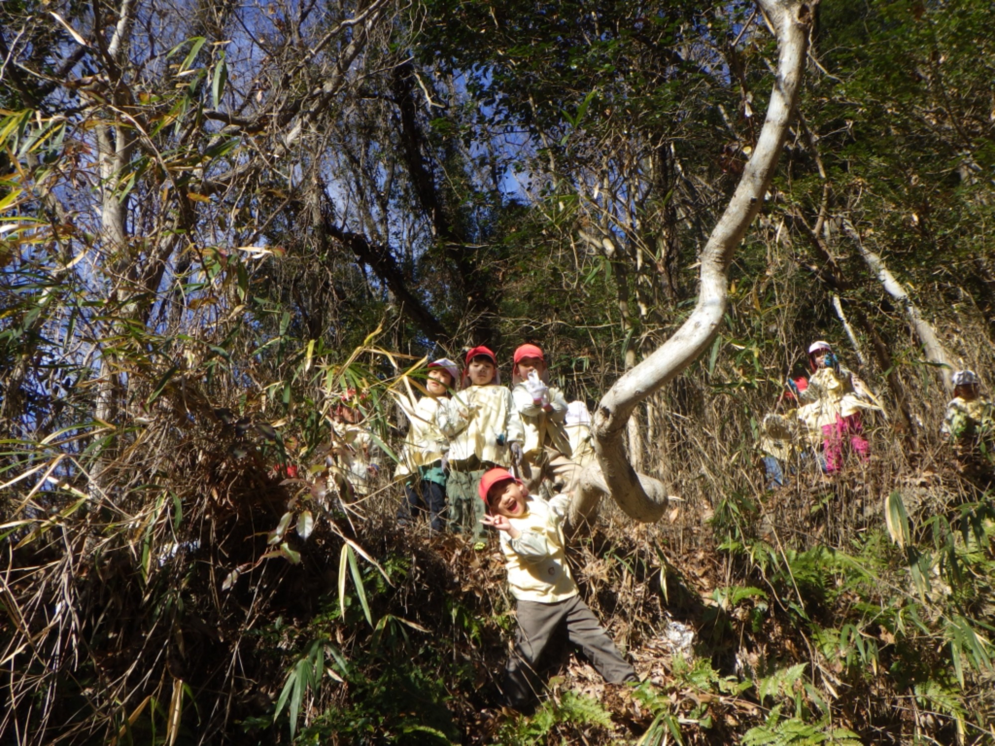 【年長】1/8　村積山　園外保育（1/3）