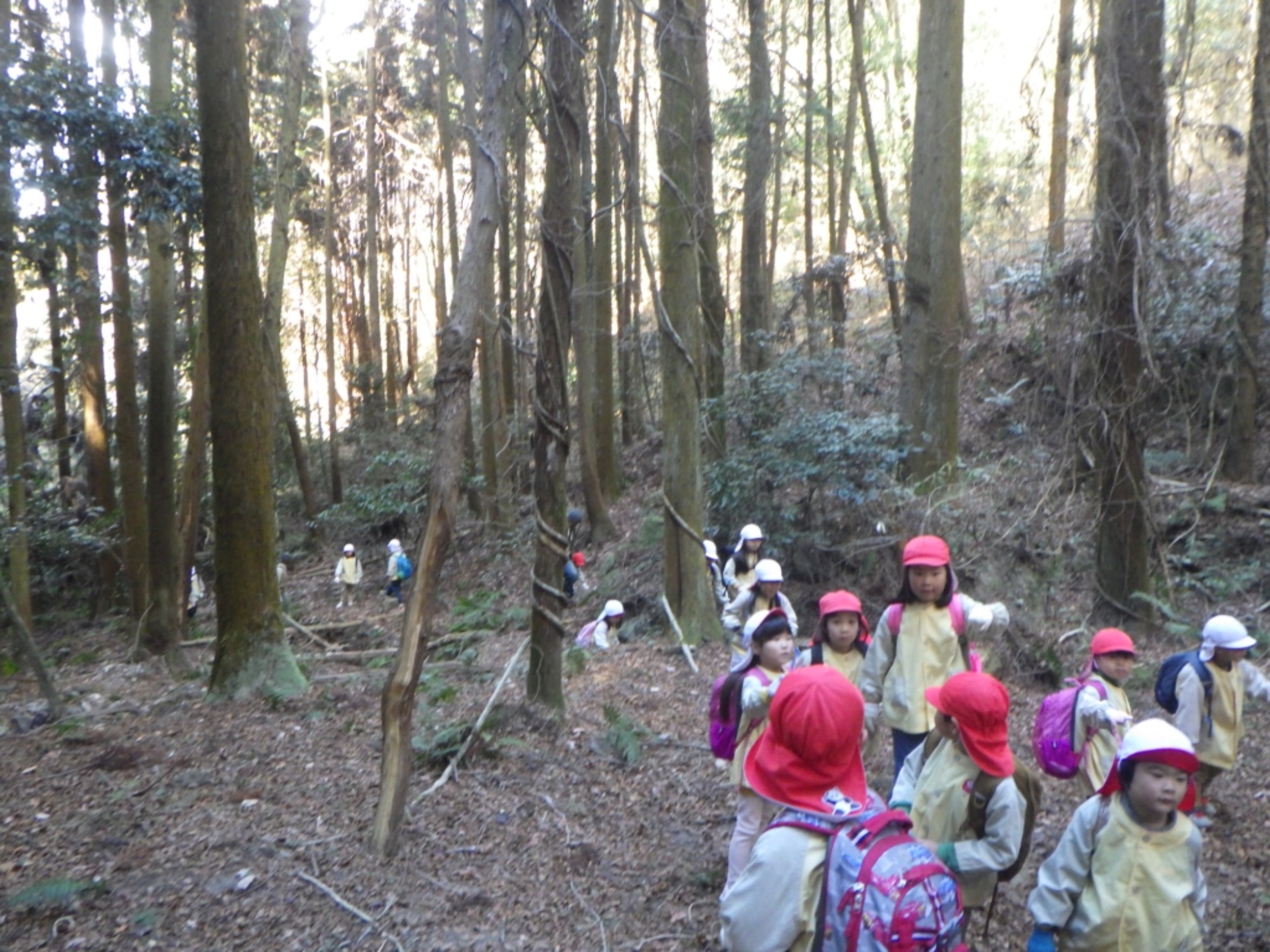 【年長】1/8　村積山　園外保育（1/3）