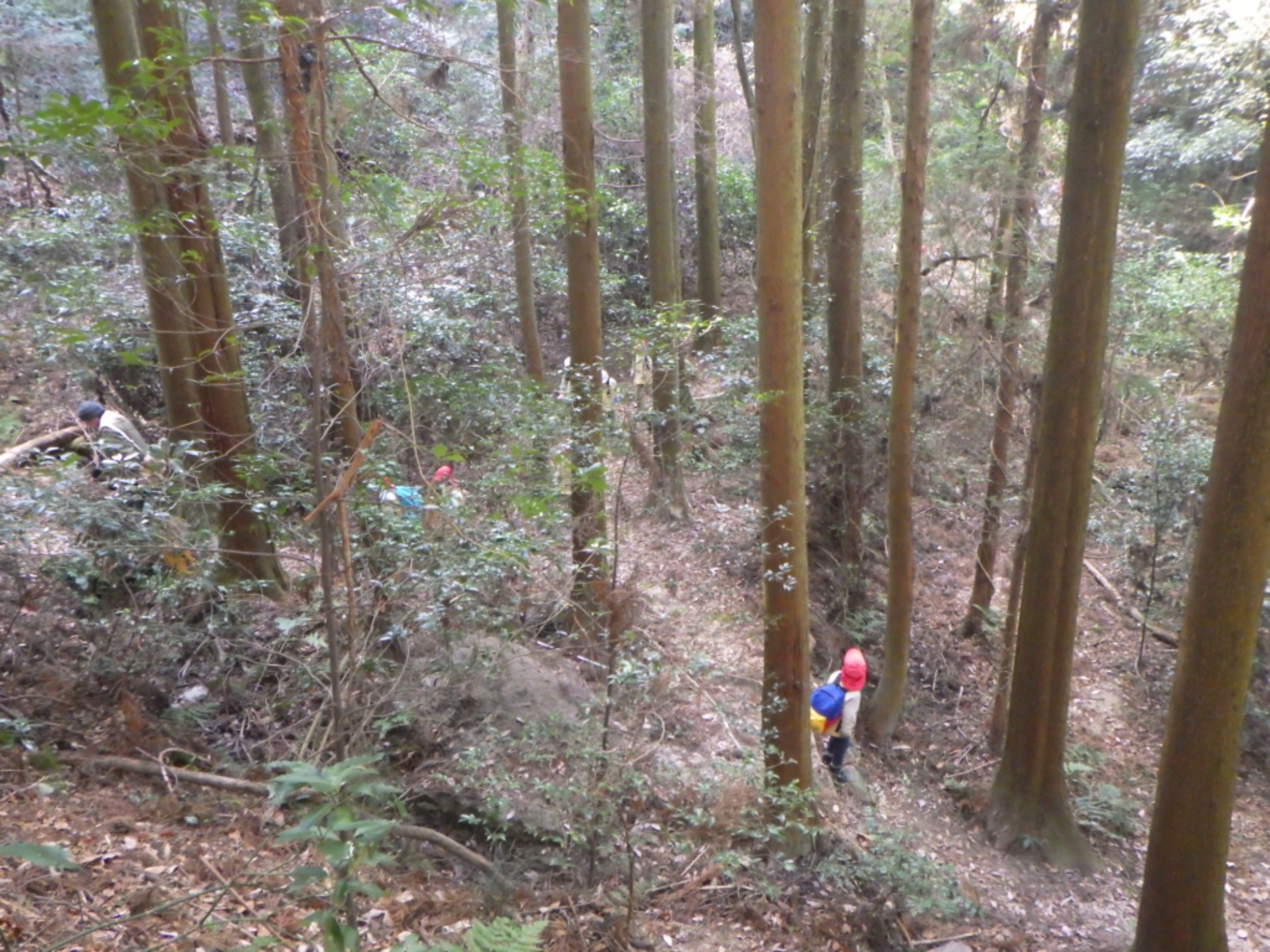【年長】1/8　村積山　園外保育（2/3）