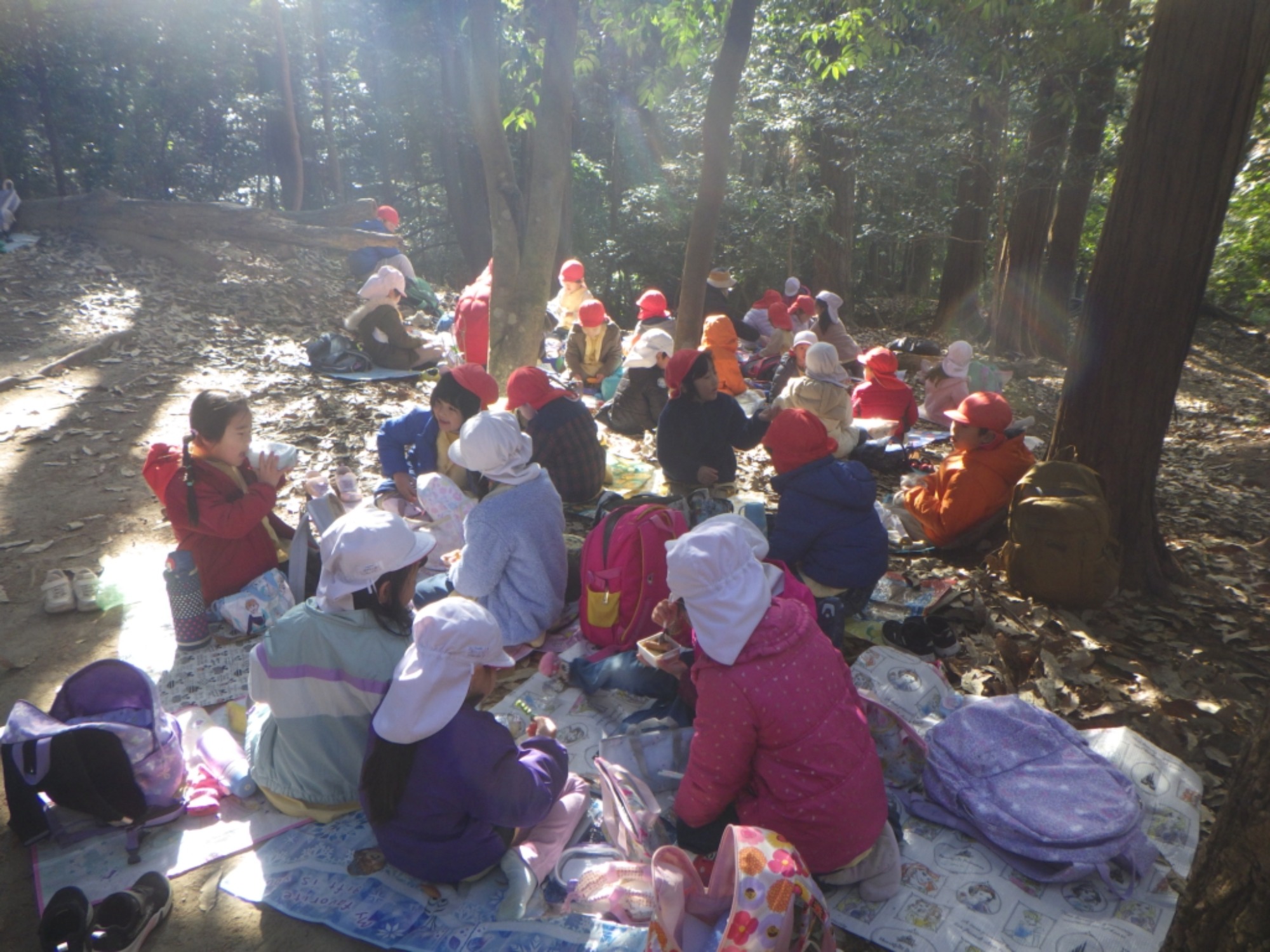 【年長】1/8　村積山　園外保育（2/3）