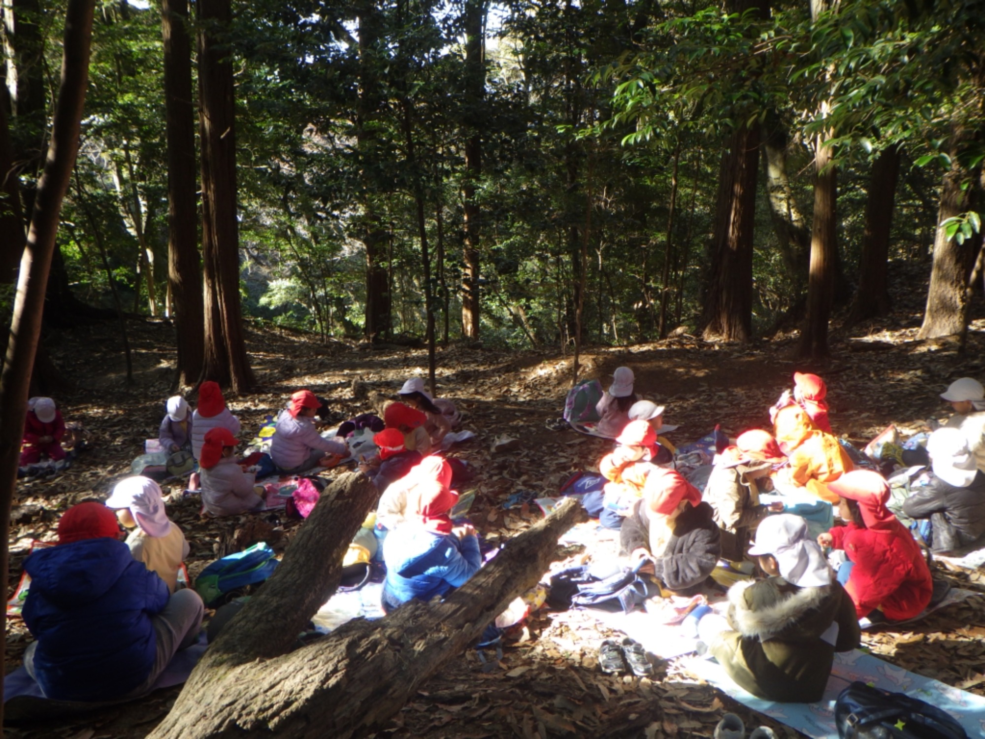 【年長】1/8　村積山　園外保育（2/3）