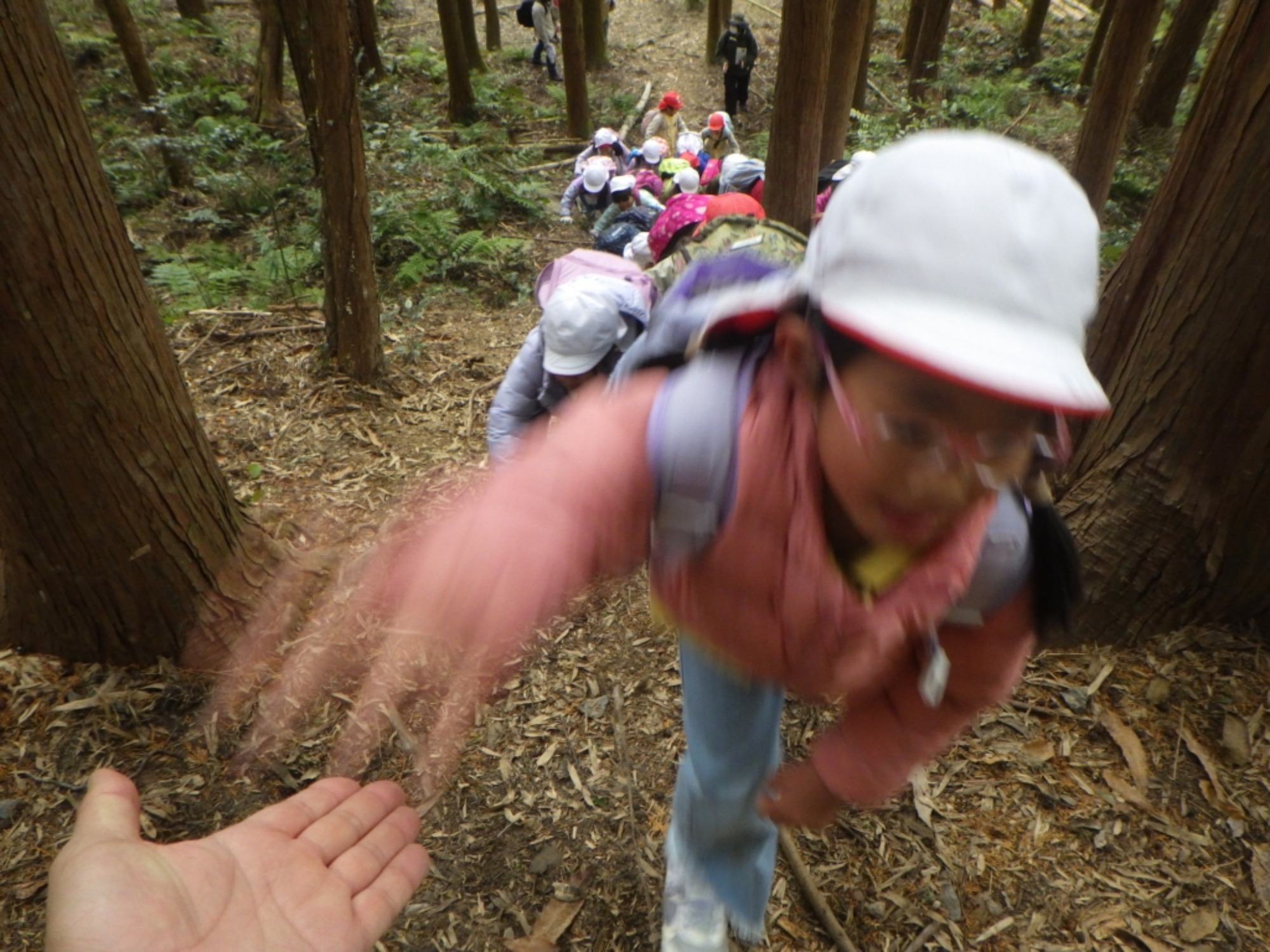 【年長】1/8　村積山　園外保育（3/3）