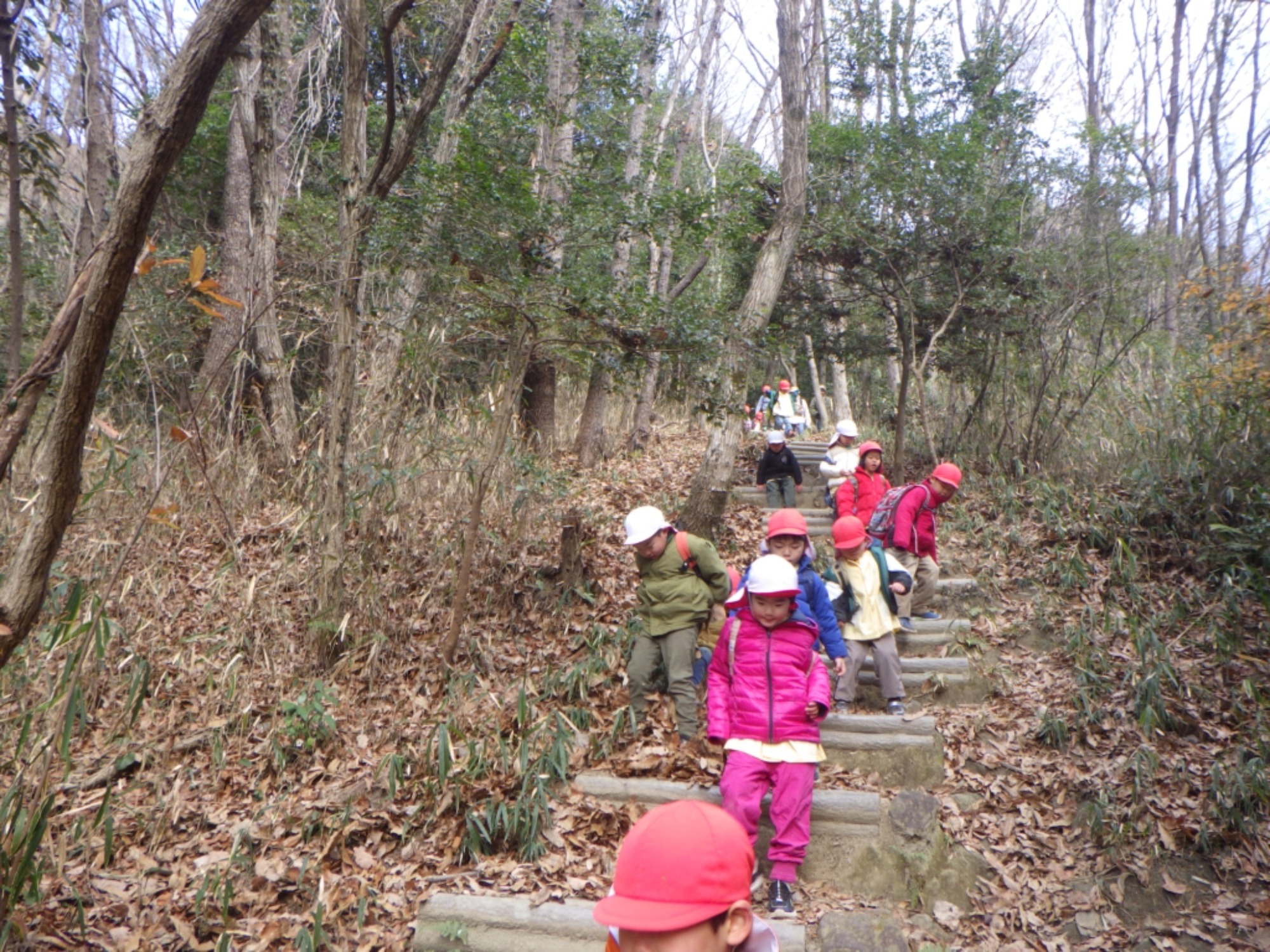 【年長】1/8　村積山　園外保育（3/3）