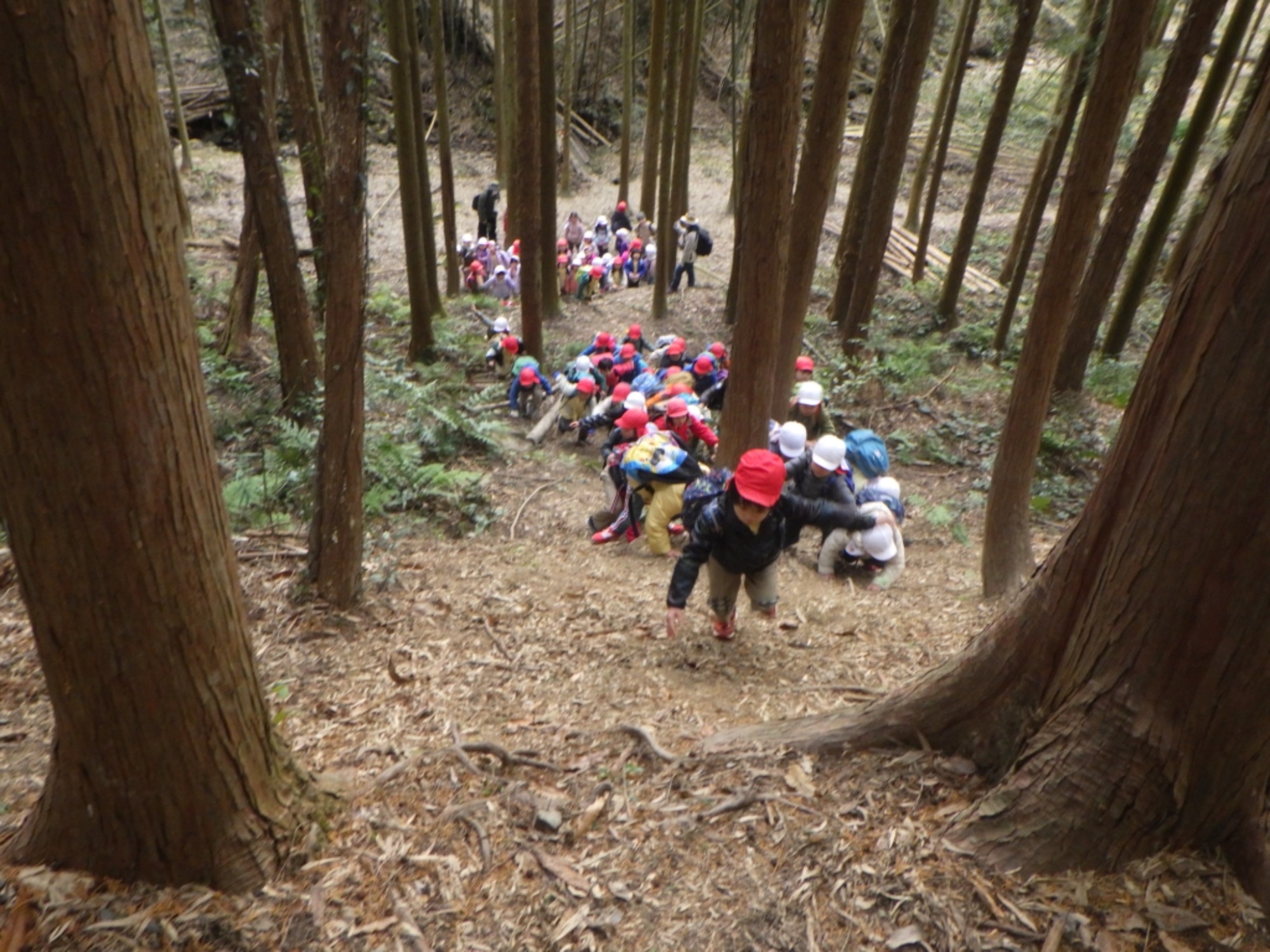【年長】1/8　村積山　園外保育（3/3）