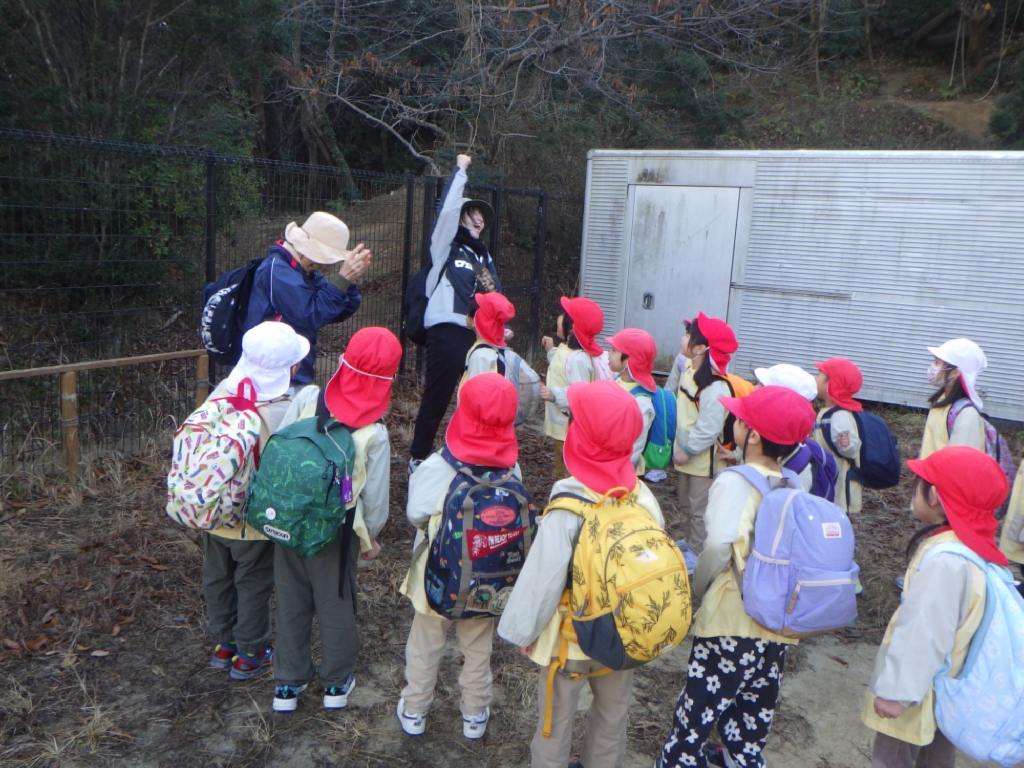 【年中】1/13　村積山　園外保育（1/2）