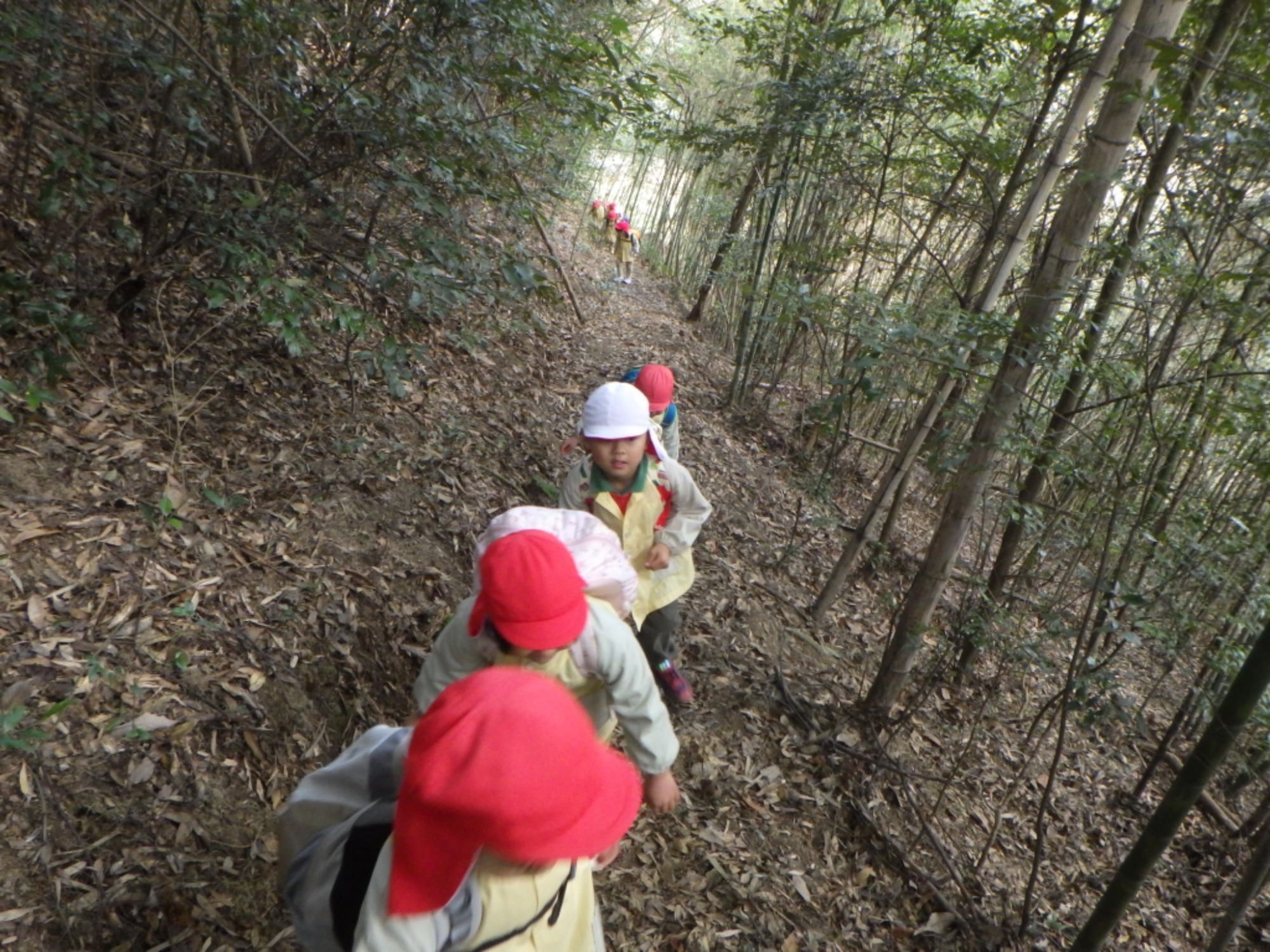 【年中】1/13　村積山　園外保育（1/2）