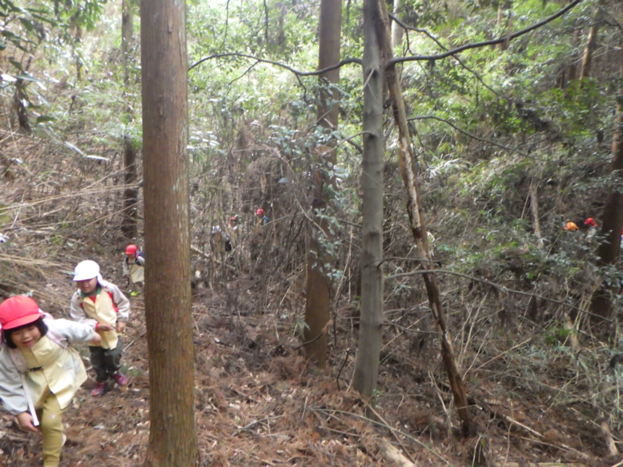 【年中】1/13　村積山　園外保育（1/2）